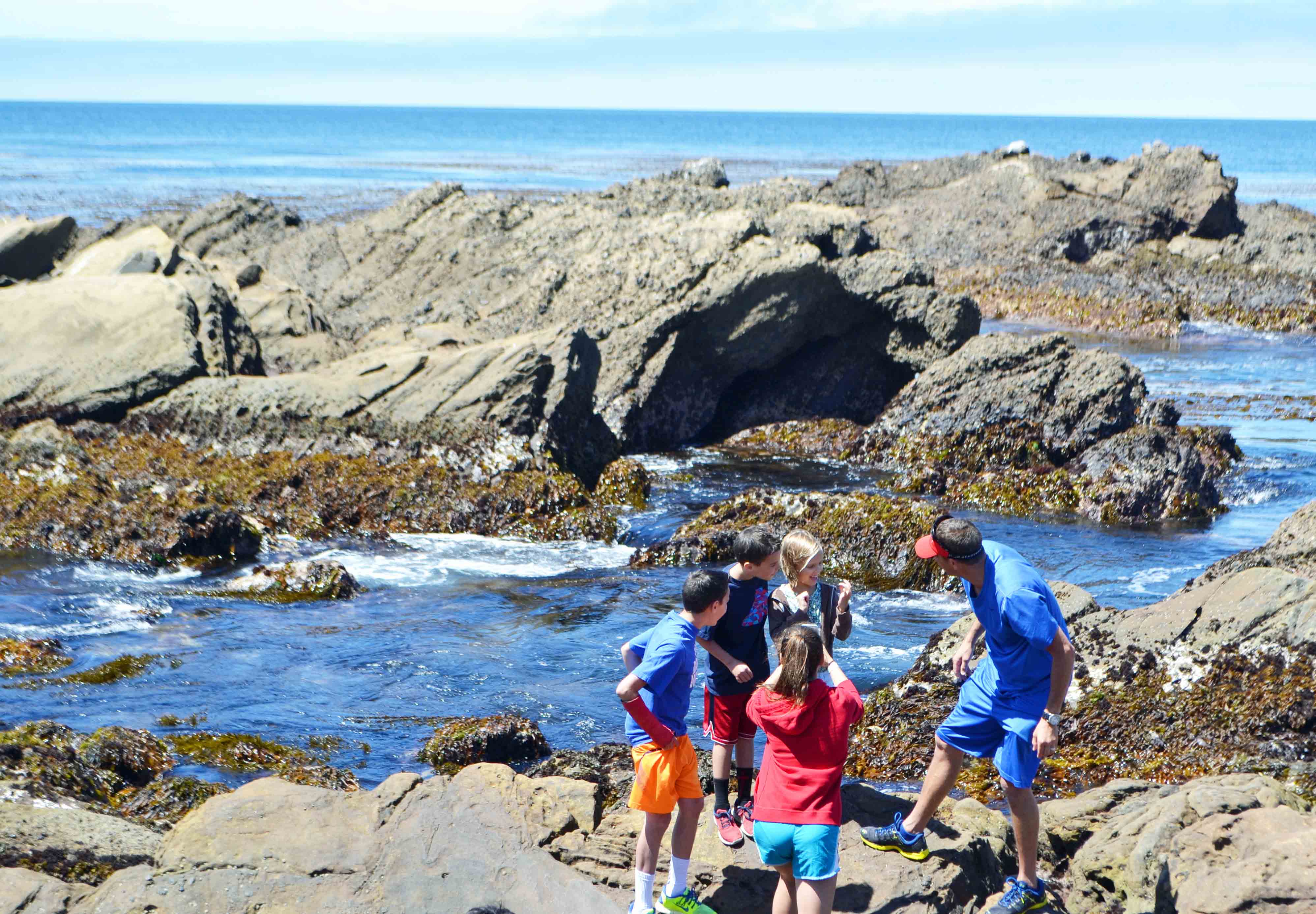 Tide Pools Point Lobos California Pacific Coast Highway 1 Road Trip