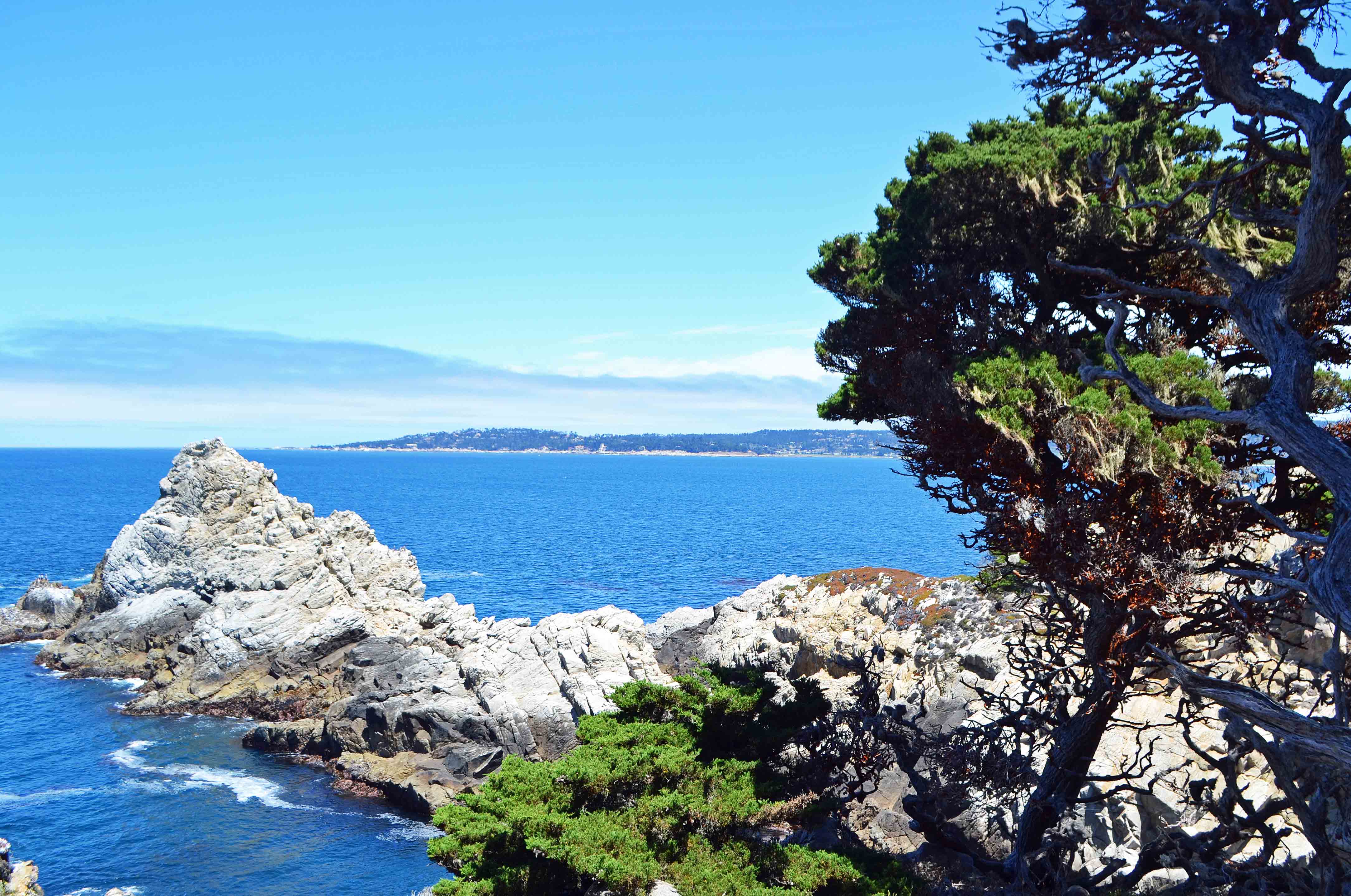 Point Lobos Reserve California Pacific Coast Highway 1 Road Trip Guide