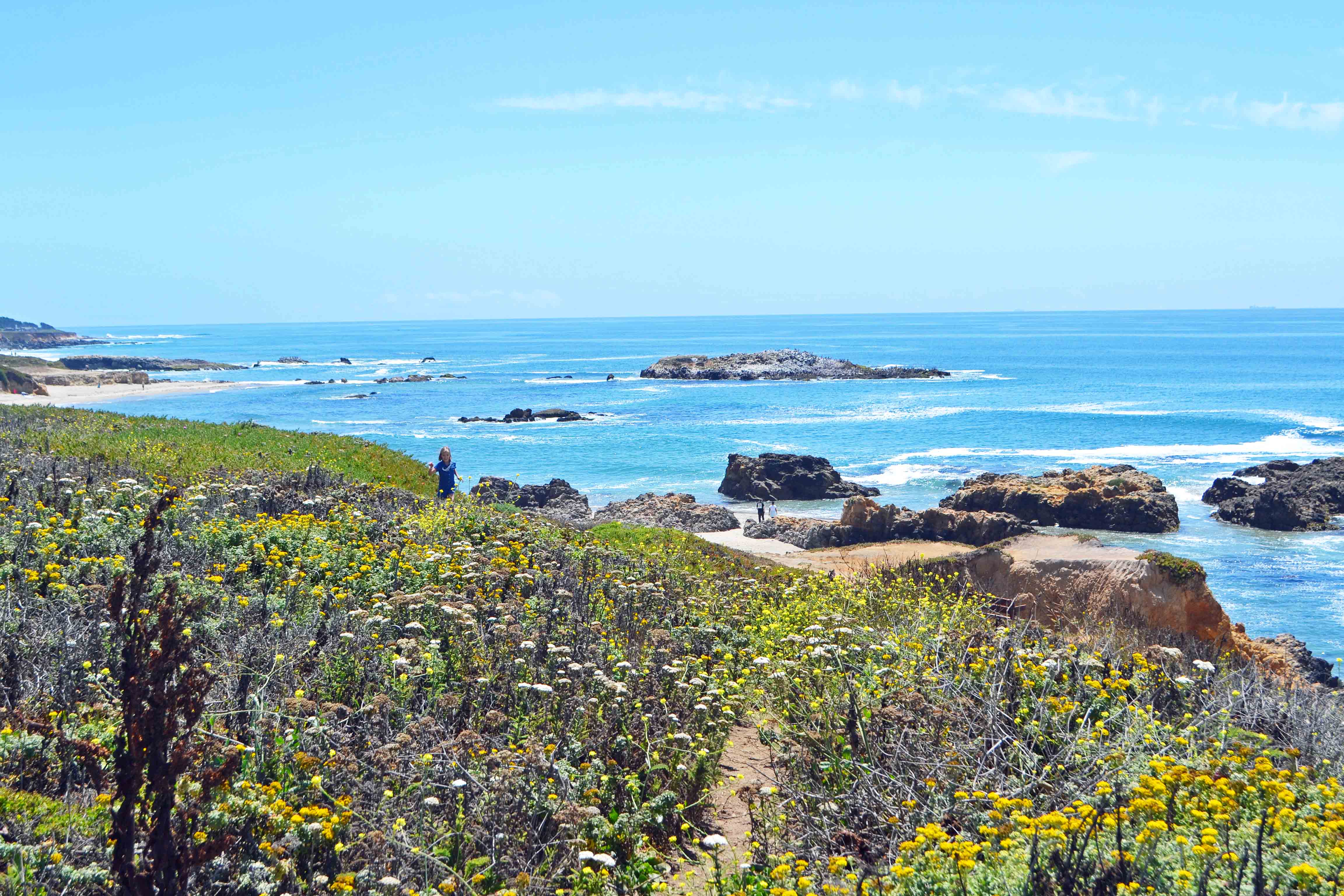 Pescadero Beach California Pacific Coast Highway 1 Road Trip Guide