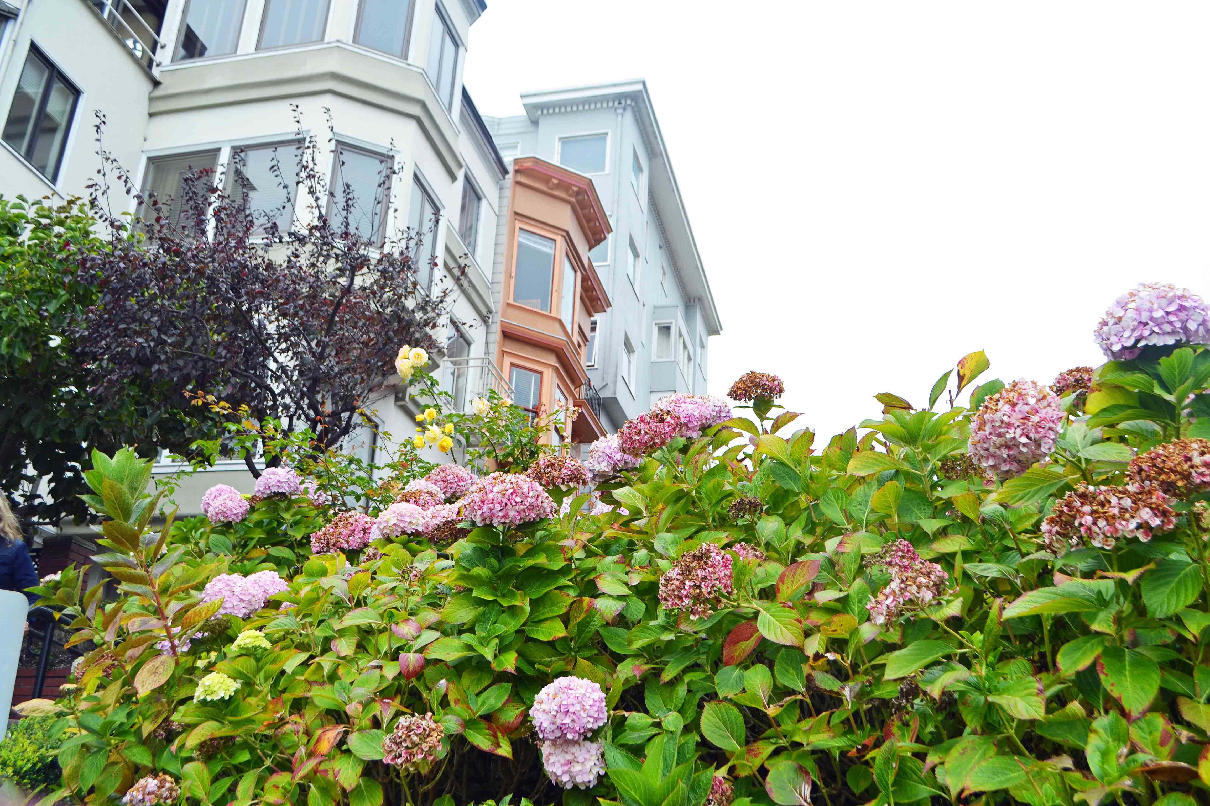 California Pacific Coast Highway 1 Road Trip Guide - San Francisco Lombard Street