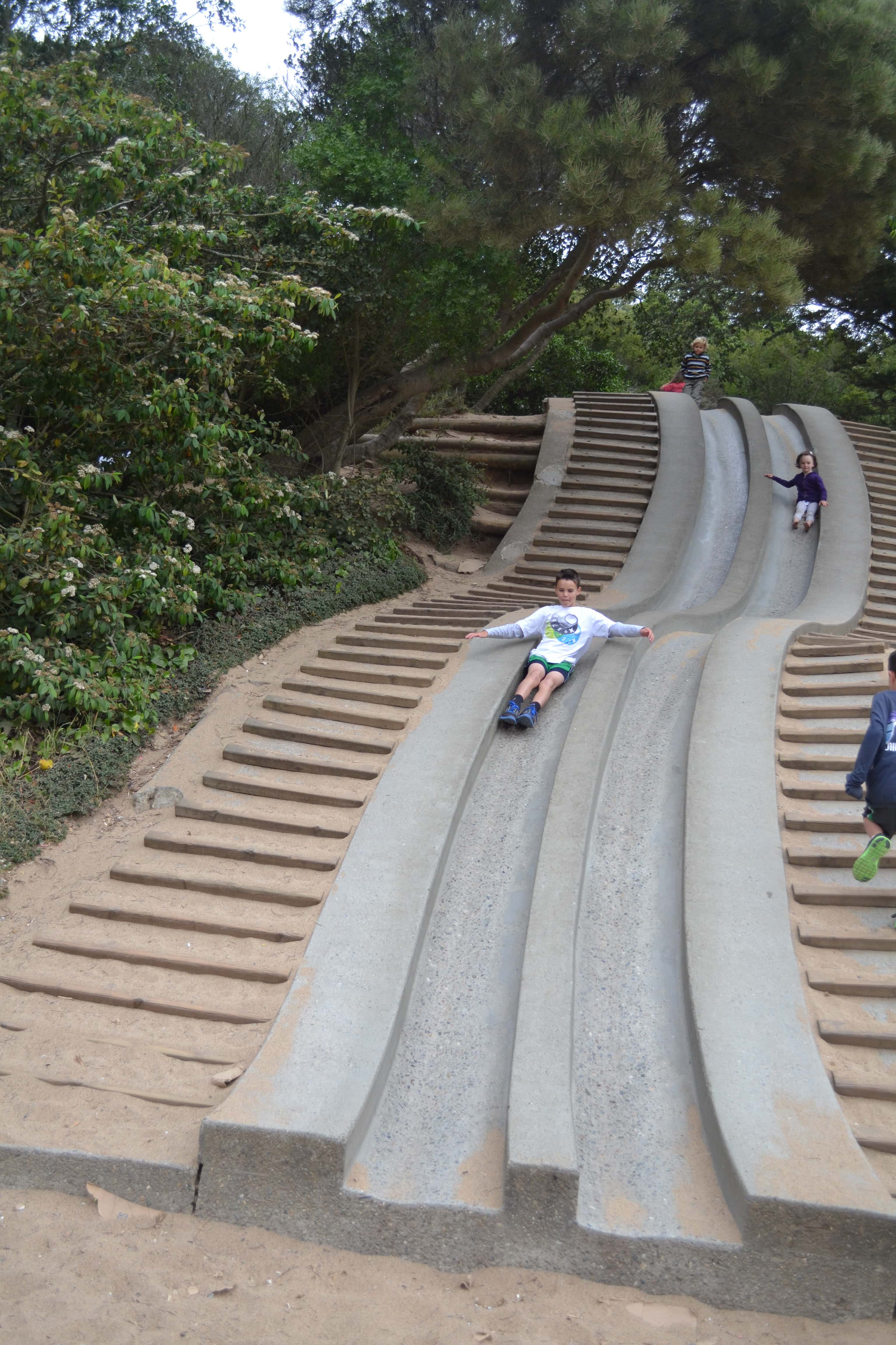 Golden Gate Park San Francisco California Pacific Highway 1 Road Trip