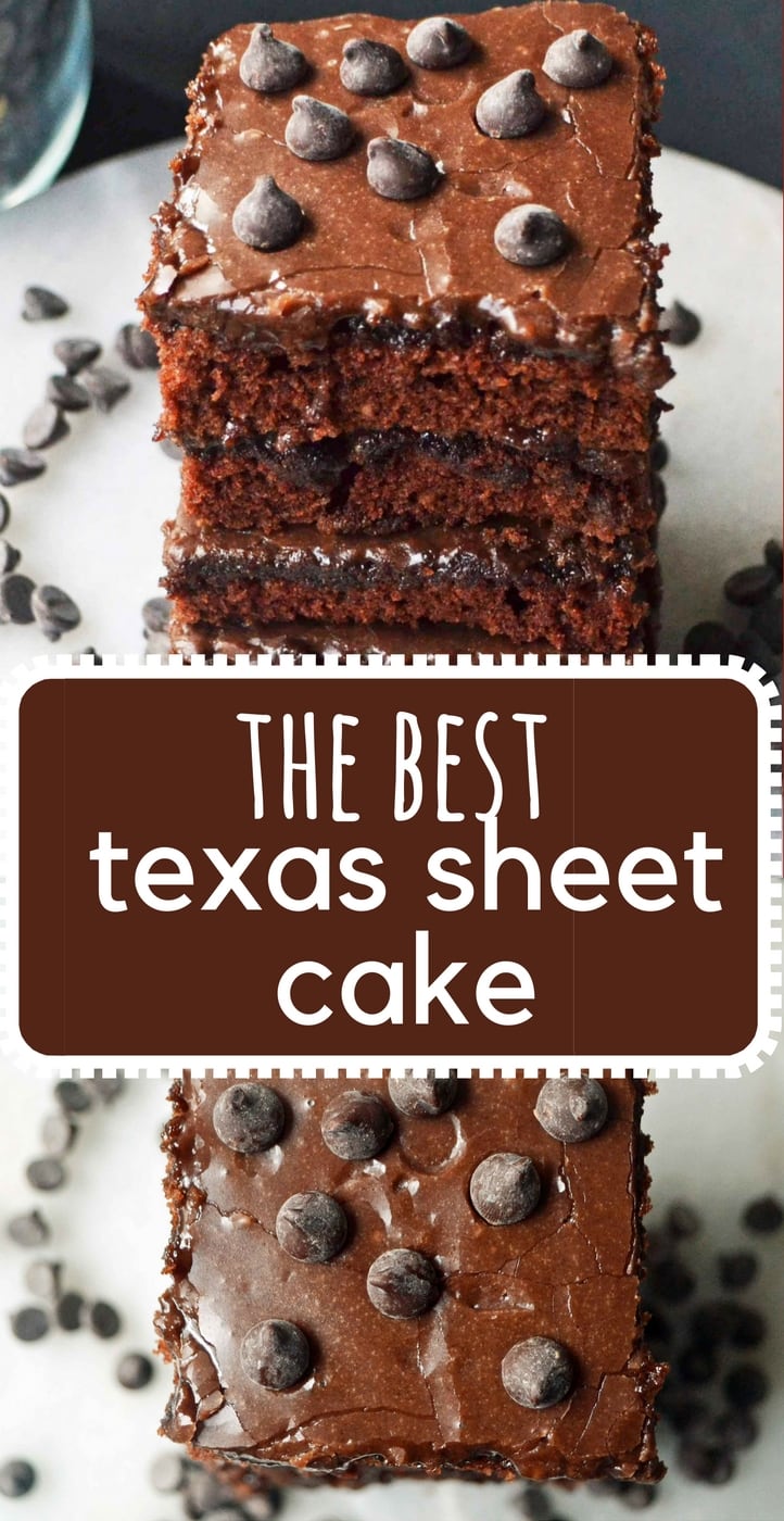 How to make the best chocolate texas sheet cake. Moist chocolate cake with rich chocolate frosting is always a huge hit! www.modernhoney.com