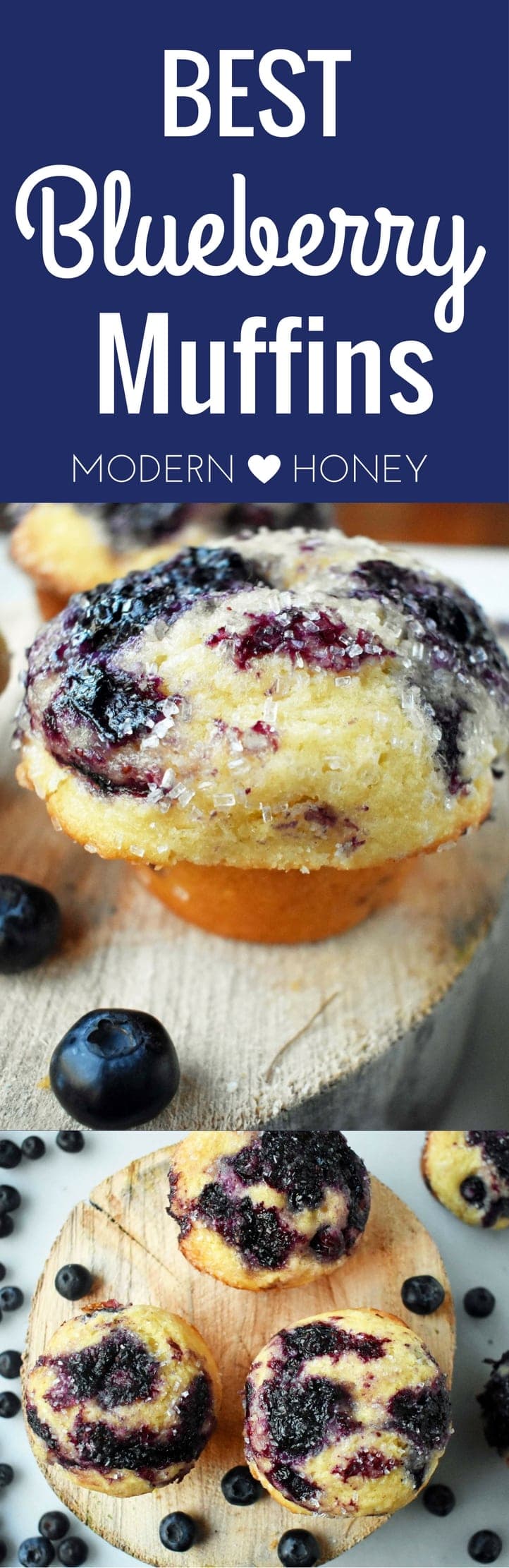 The BEST Blueberry Muffins by Modern Honey. Made with fresh blueberries, buttermilk, and a combination of sweet butter and oil. The perfect blueberry muffin recipe! www.modernhoney.com