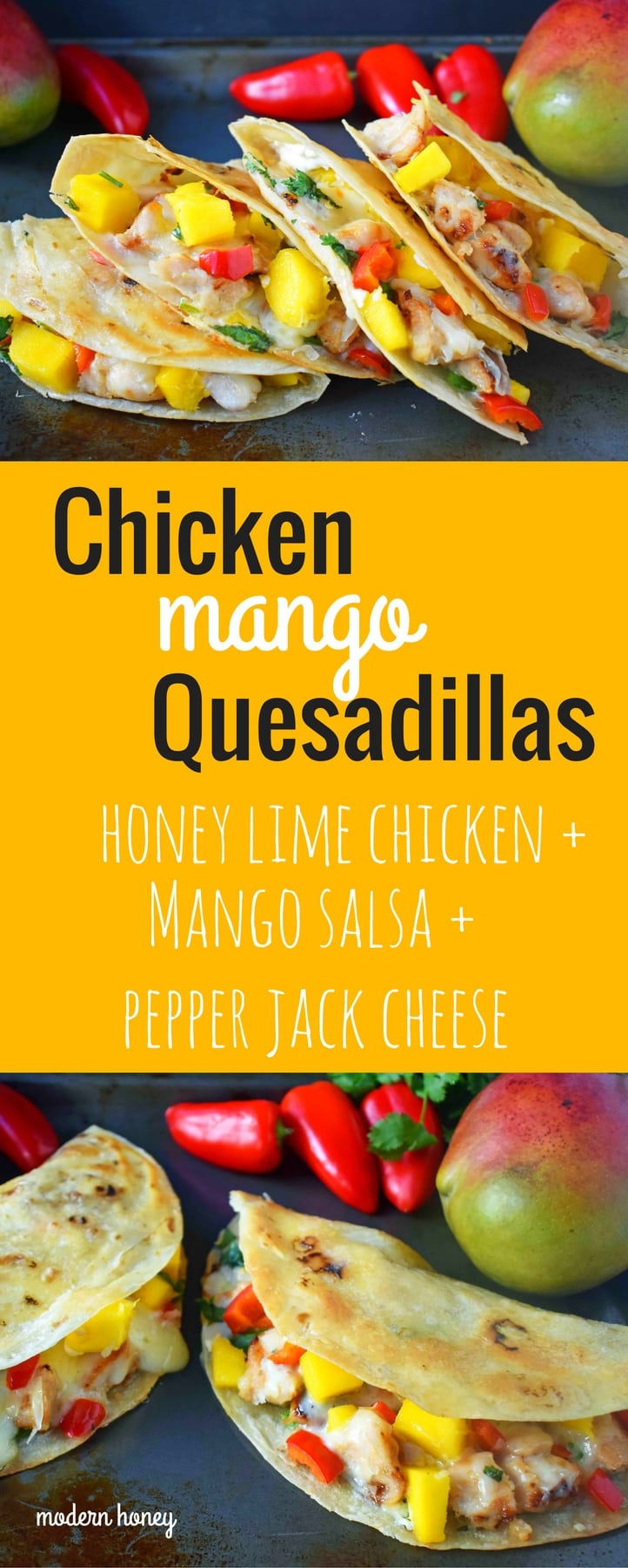 Chicken Mango Quesadillas made with honey lime chicken, homemade fresh mango salsa, pepper jack cheese, and an optional jalapeno cream cheese all melted inside a buttery tortilla. A popular Mexican dinner made in less than 30 minutes. www.modernhoney.com