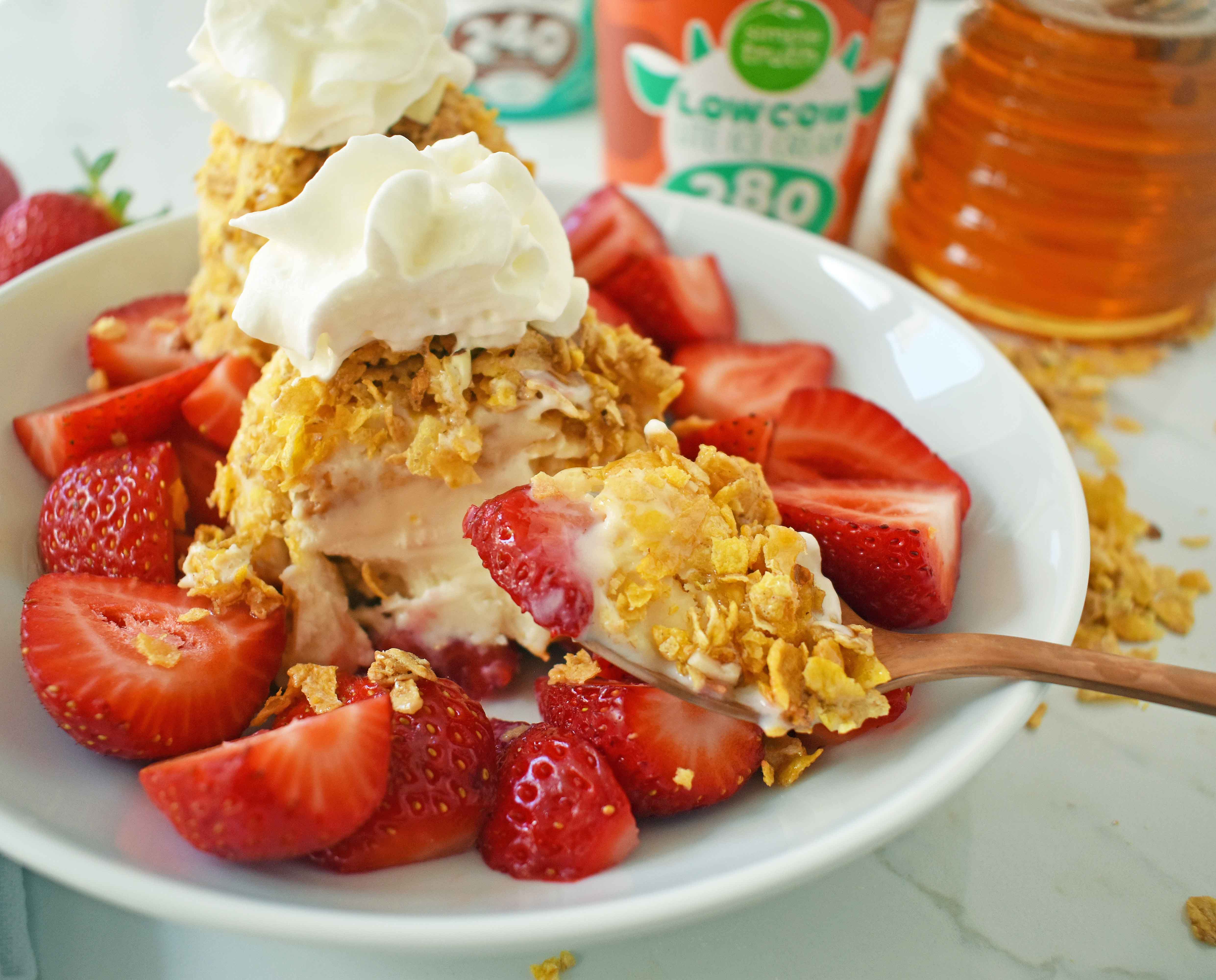 Lowfat Protein No Fried Ice Cream - 