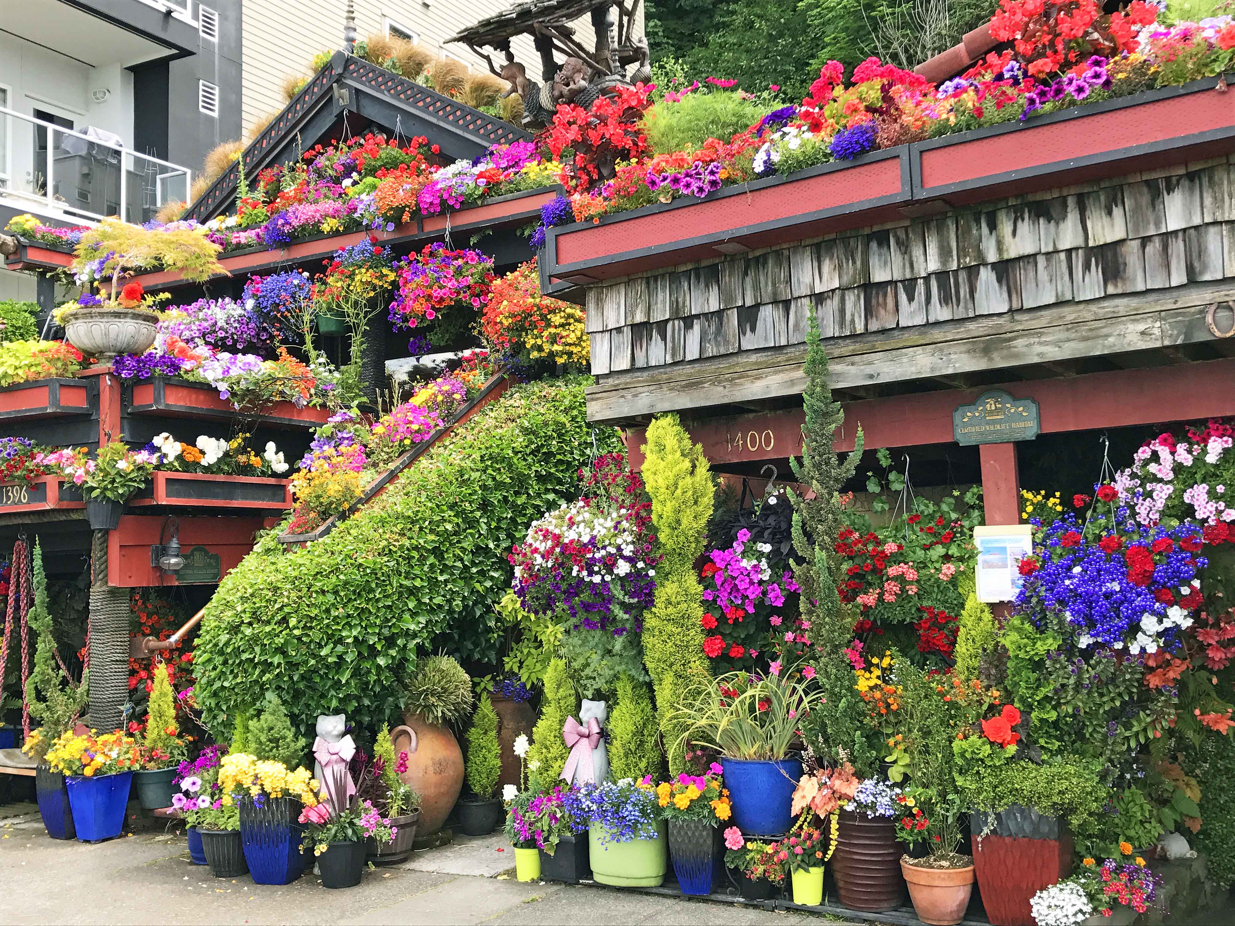 Famous Flower Home at Alki Beach. Best Places to Eat and See in Seattle. The most popular spots to visit and the best restaurants. Tips on the best places to see in Seattle Washington. www.modernhoney.com