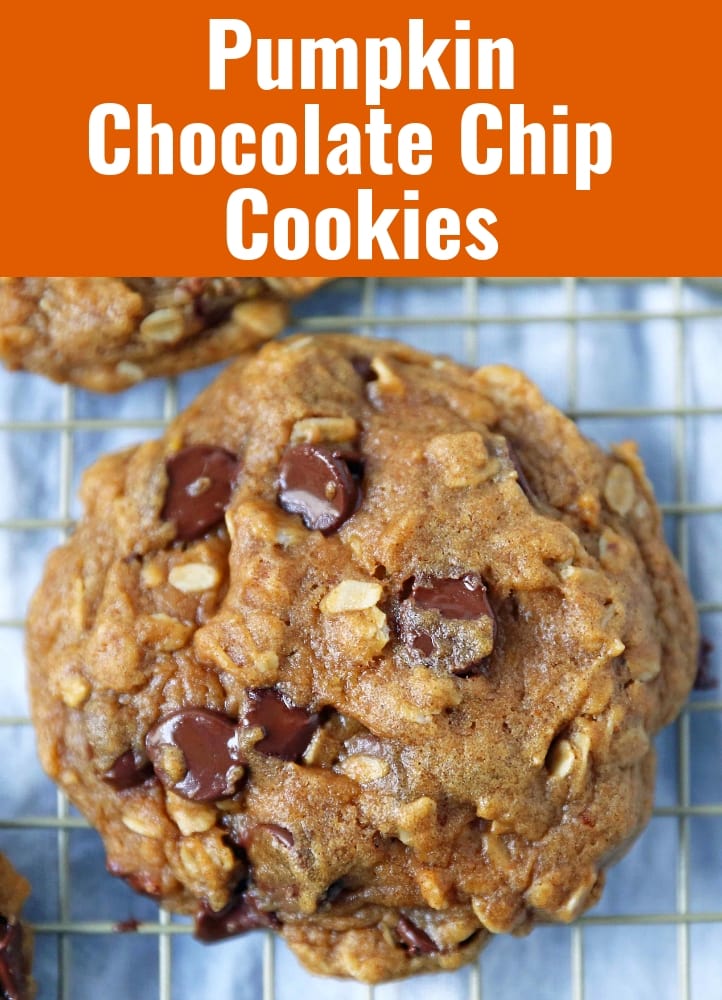 Pumpkin Chocolate Chip Cookie Recipe. The BEST Chocolate Chip Pumpkin Cookies. Saucepan Pumpkin Chocolate Chip Cookies are the perfect Fall Cookie. A browned butter pumpkin chocolate chip cookie. www.modernhoney.com #pumpkinchocolatechip #pumpkincookie #pumpkinchocolatechipcookie #fallcookie #pumpkinrecipe