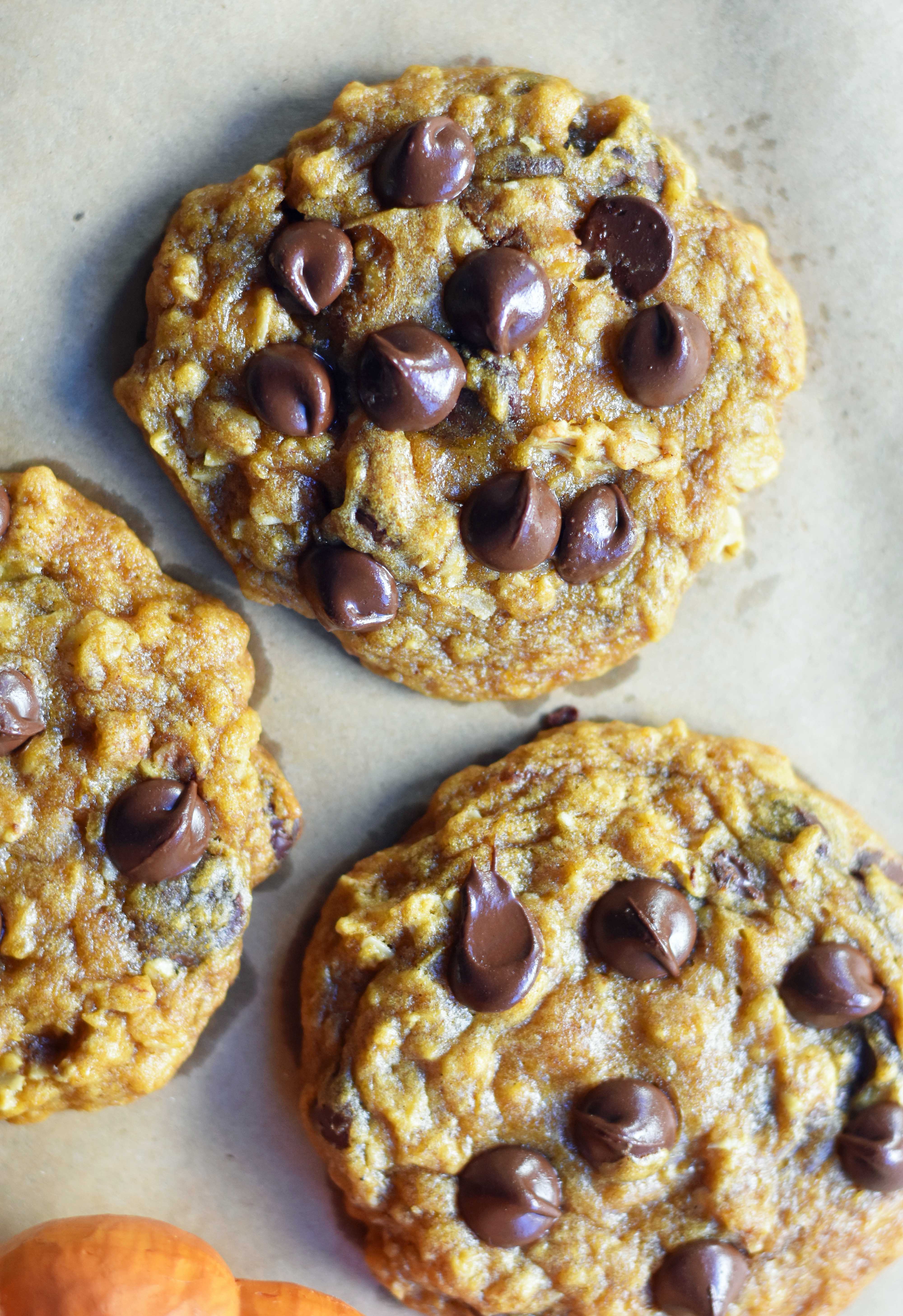 Pumpkin Chocolate Chip Cookies made in a saucepan. How to make perfect chewy, melt-in-your-mouth pumpkin chocolate chip cookies. www.modernhoney.com