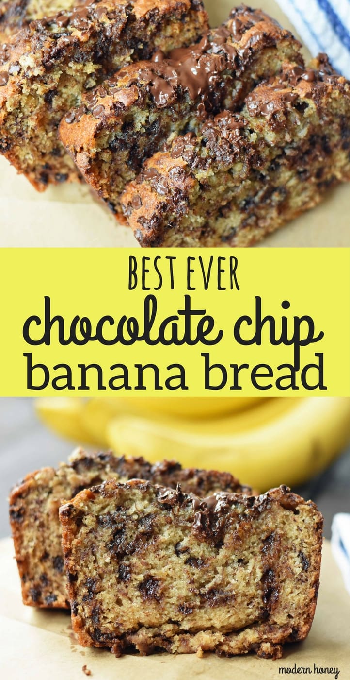 The best ever chocolate chip banana bread. Moist and delicious banana bread with chocolate chips. Banana bread made with butter, oil, and sour cream to create a perfect banana bread. www.modernhoney.com
