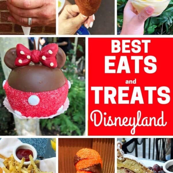 The Best Eats and Treats at Disneyland. The best food to eat at Disneyland. A list of the most popular and favorite food at Disneyland parks. A list of what to eat at Disneyland. www.modernhoney.com