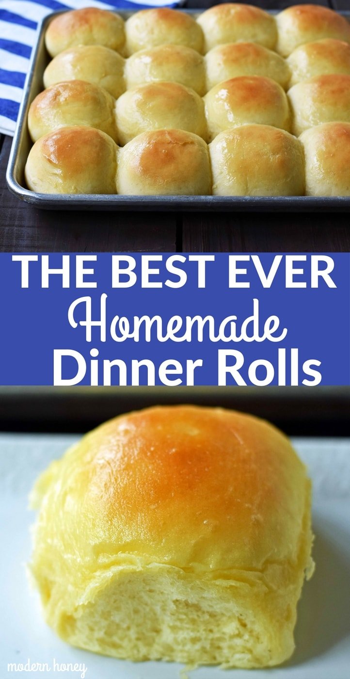 The Best Homemade Dinner Rolls Modern Honey