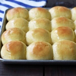 Best Homemade Dinner Rolls made from scratch. Perfect dinner rolls made with simple ingredients. Steps on how to make the best dinner rolls ever. www.modernhoney.com