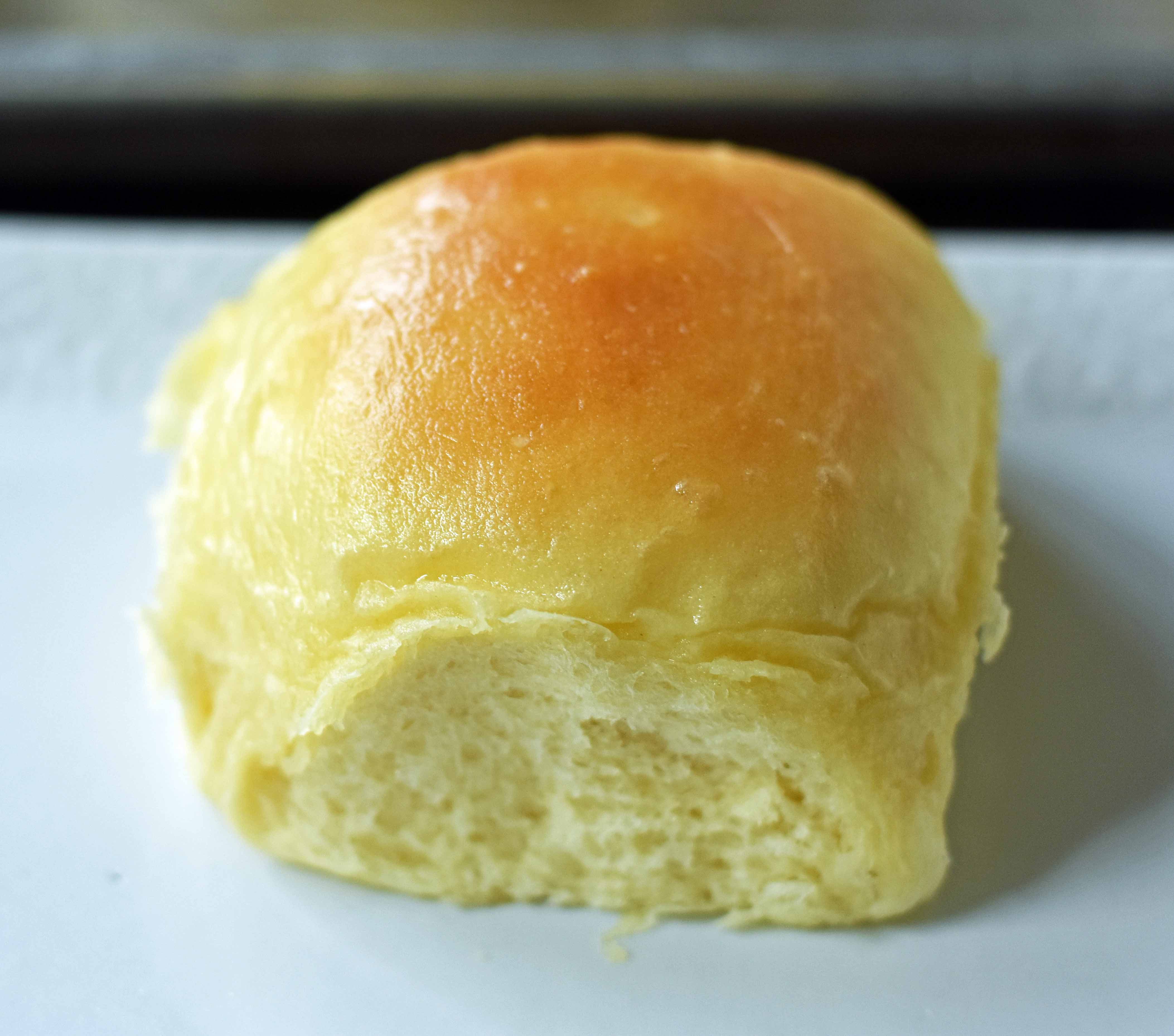 Best Homemade Dinner Rolls made from scratch. Perfect dinner rolls made with simple ingredients. Steps on how to make the best dinner rolls ever. www.modernhoney.com