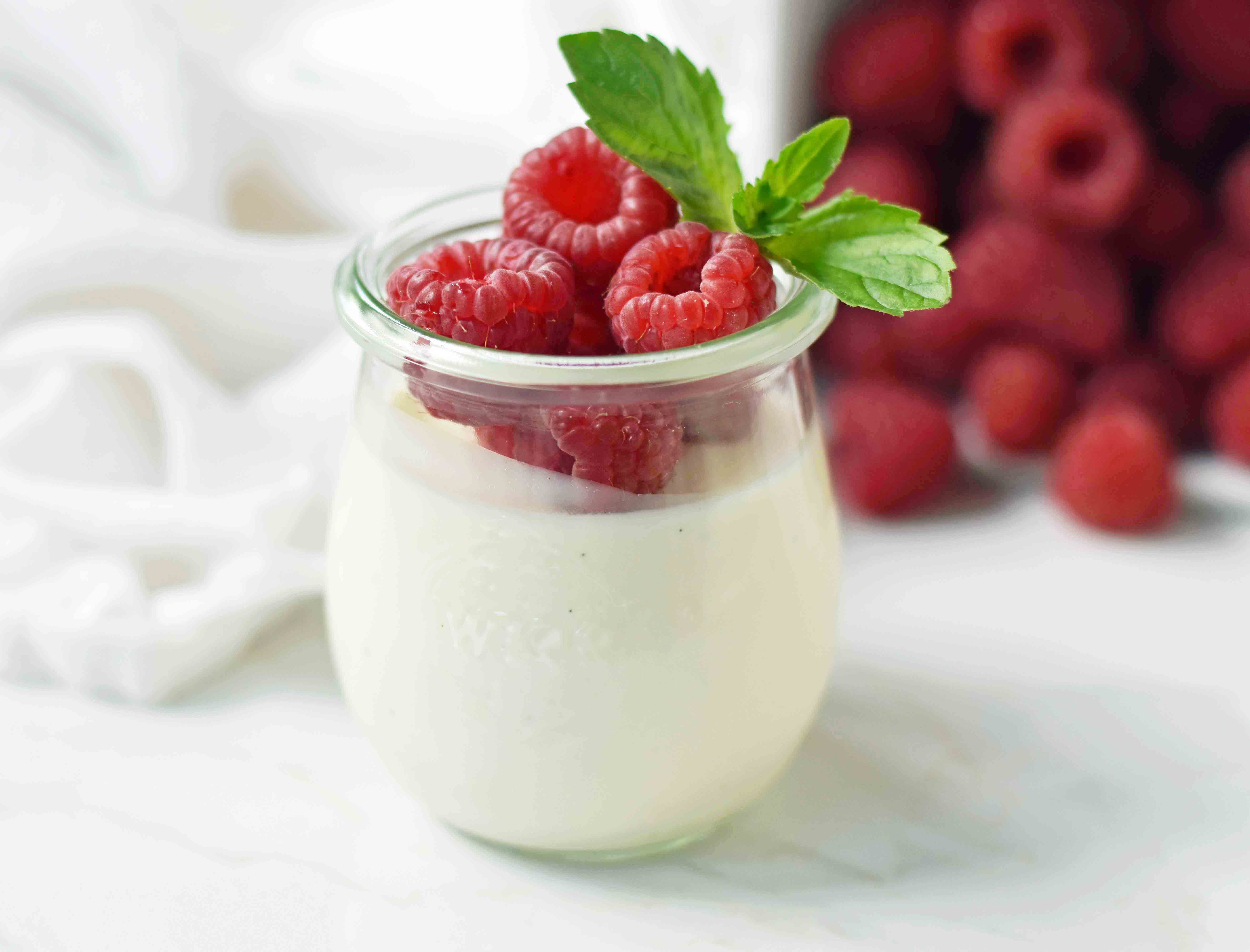 Greek Yogurt Panna Cotta with Fresh Raspberries 2 copy