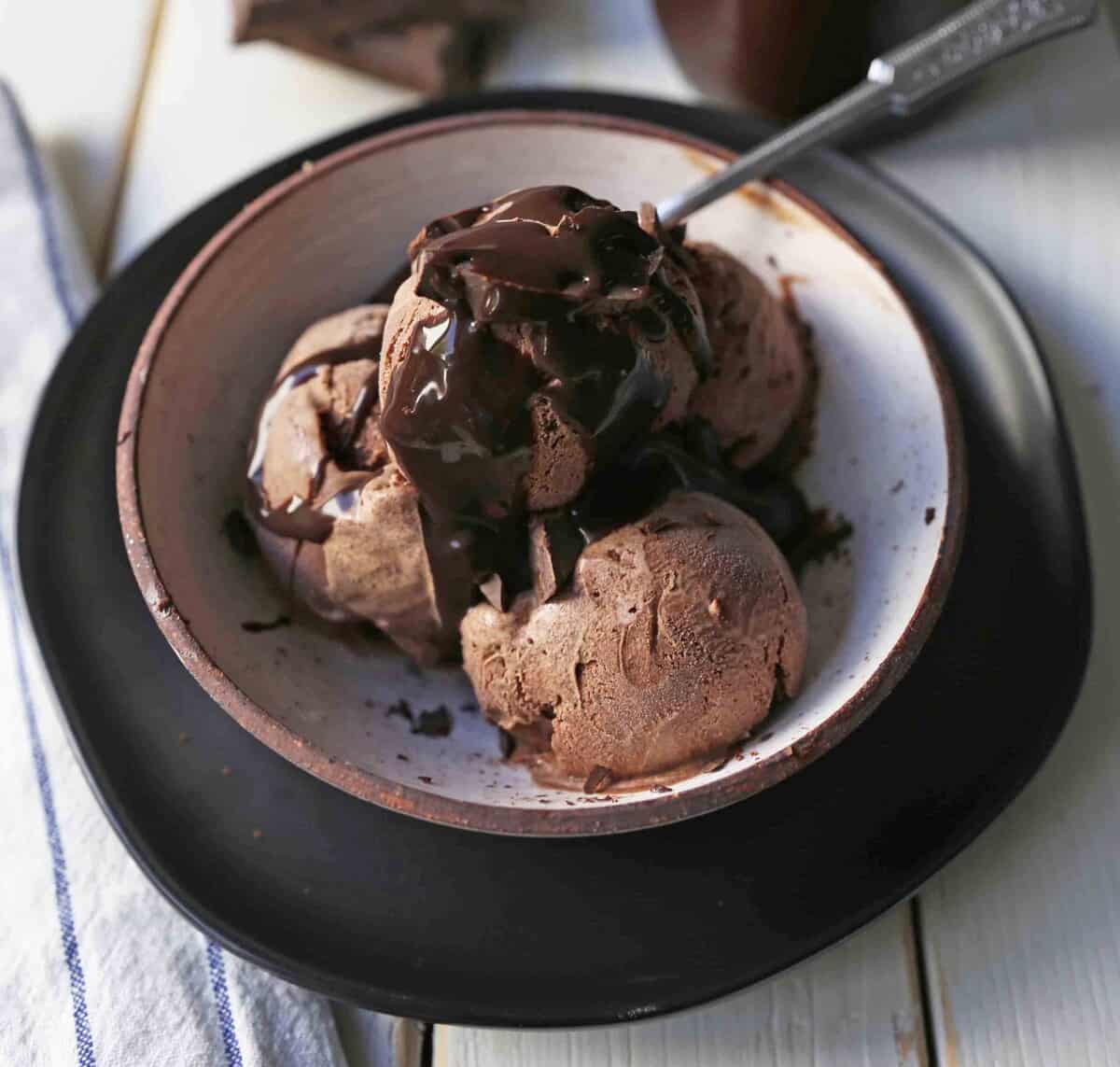 Homemade Chocolate Ice Cream Modern Honey