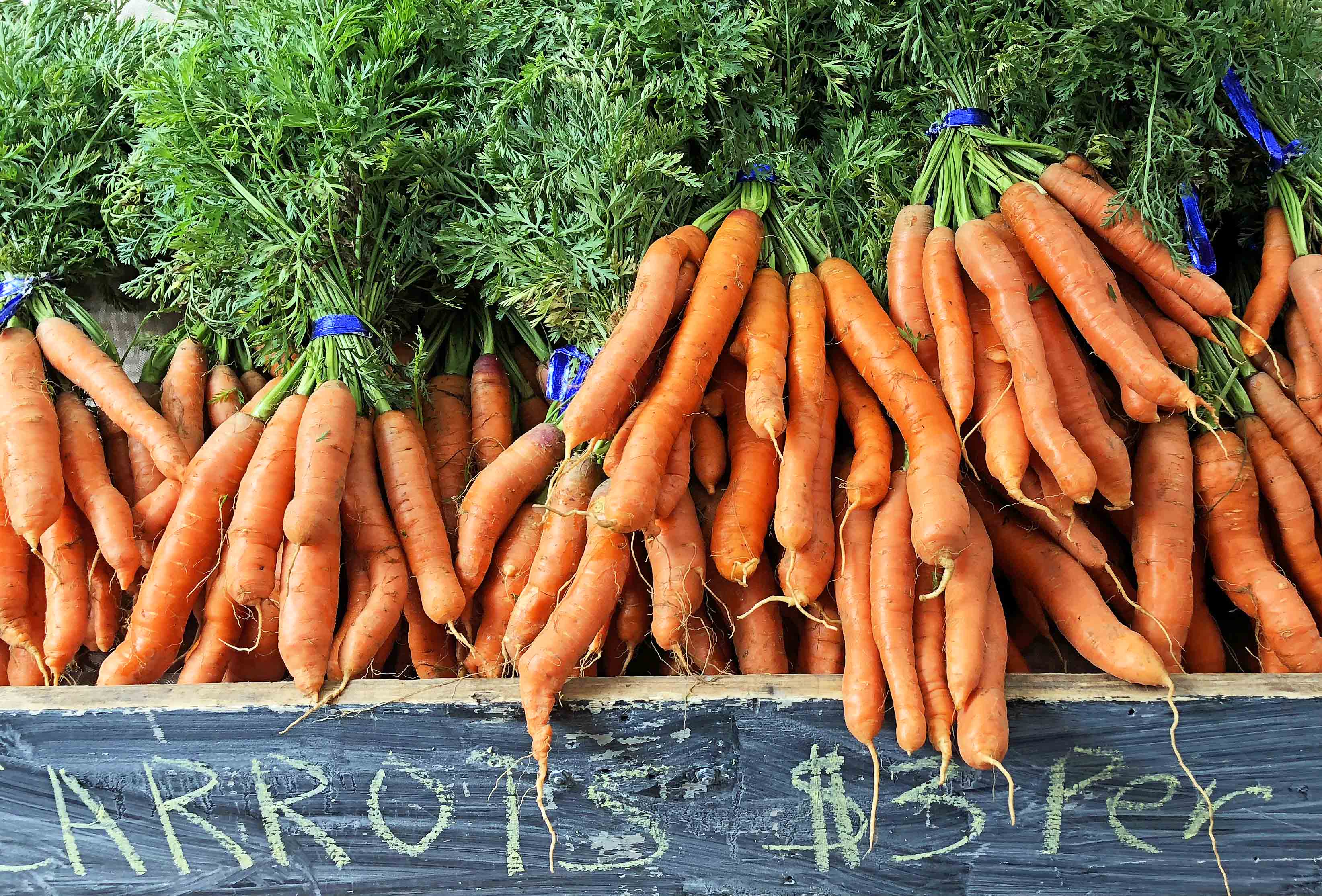 Farmer's Market Carrots. Asian Vegetable Stir-Fry Noodles. Healthy fresh vegetables in a homemade stir-fry sauce tossed with noodles. A quick and easy family dinner. 20-minute Asian Garlic Noodles Recipe. www.modernhoney.com #asiannoodles #garlicnoodles #stirfry #veggiestirfry #asianfood 