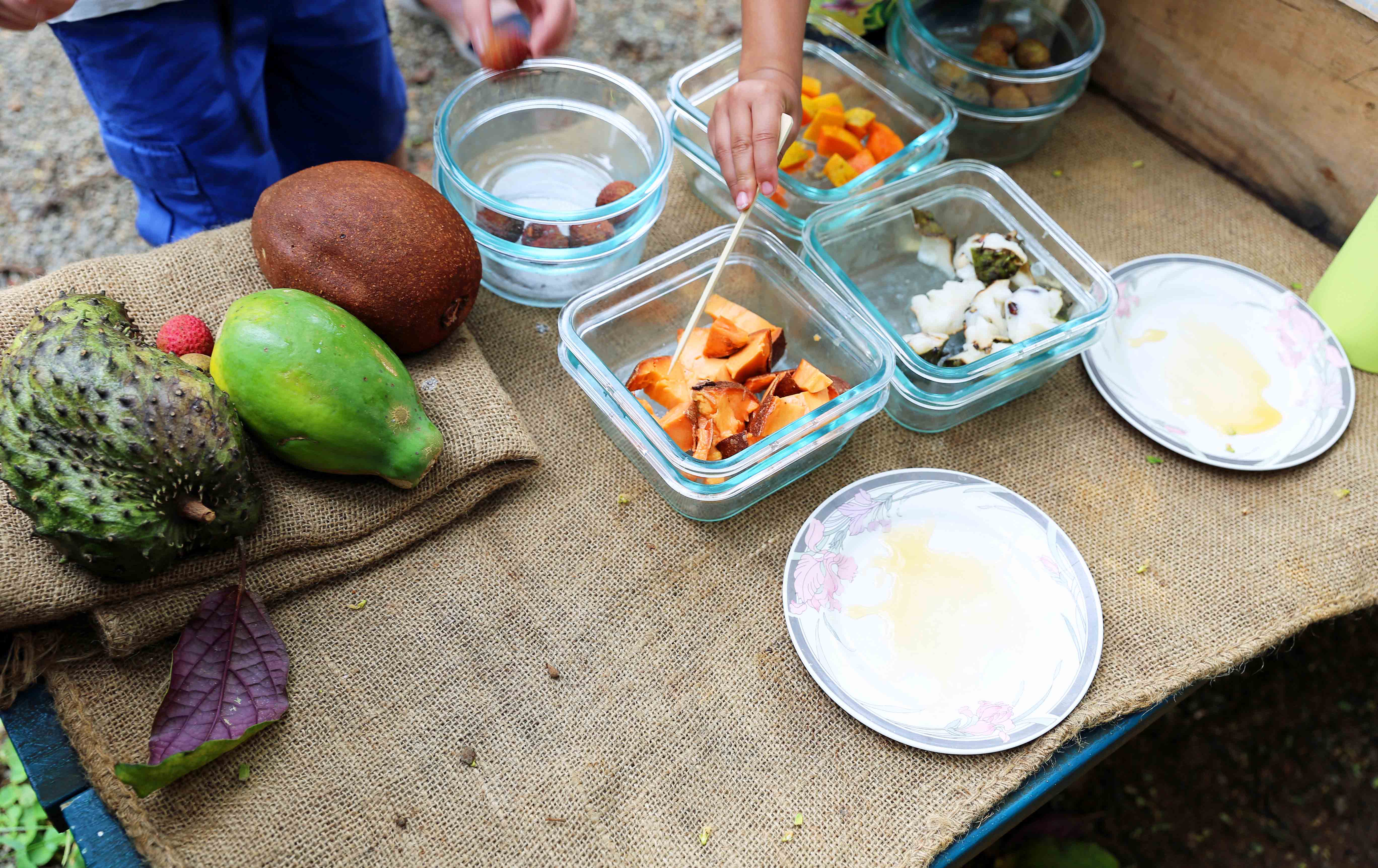 Tropical Fruit Tasting at Lydgate Farms in Kauai Hawaii