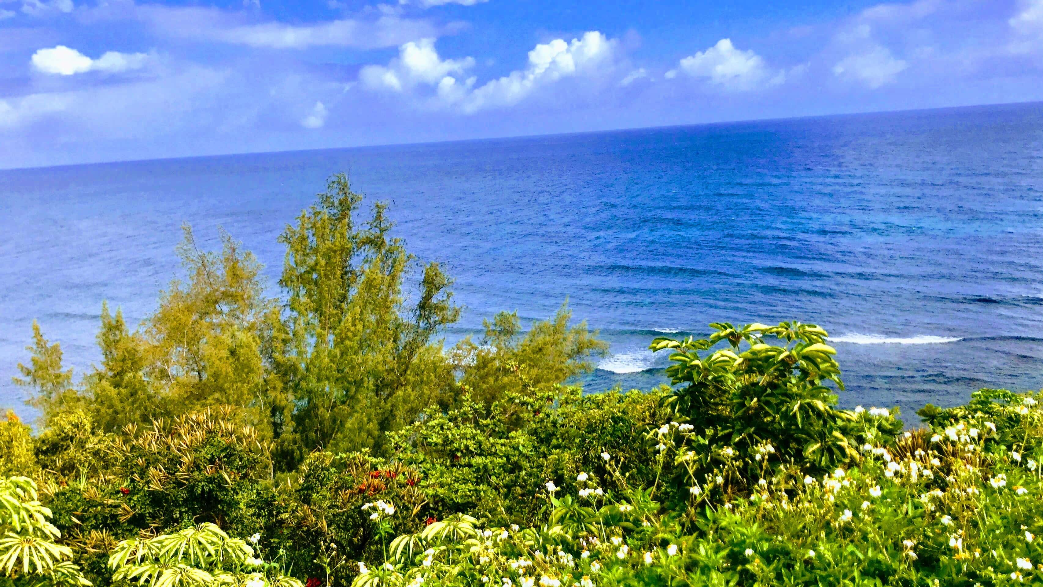Views from Princeville Puu Poa Condos