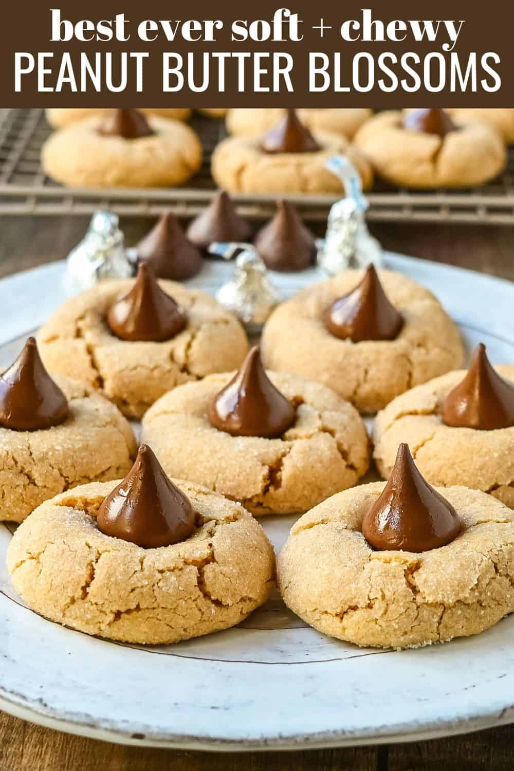 Easy Peanut Butter Blossoms. This popular soft and chewy peanut butter cookie with a Hershey's chocolate kiss in the center is the classic Christmas cookie. This recipe has been in my family for over 60 years and is the best peanut butter blossom recipe.