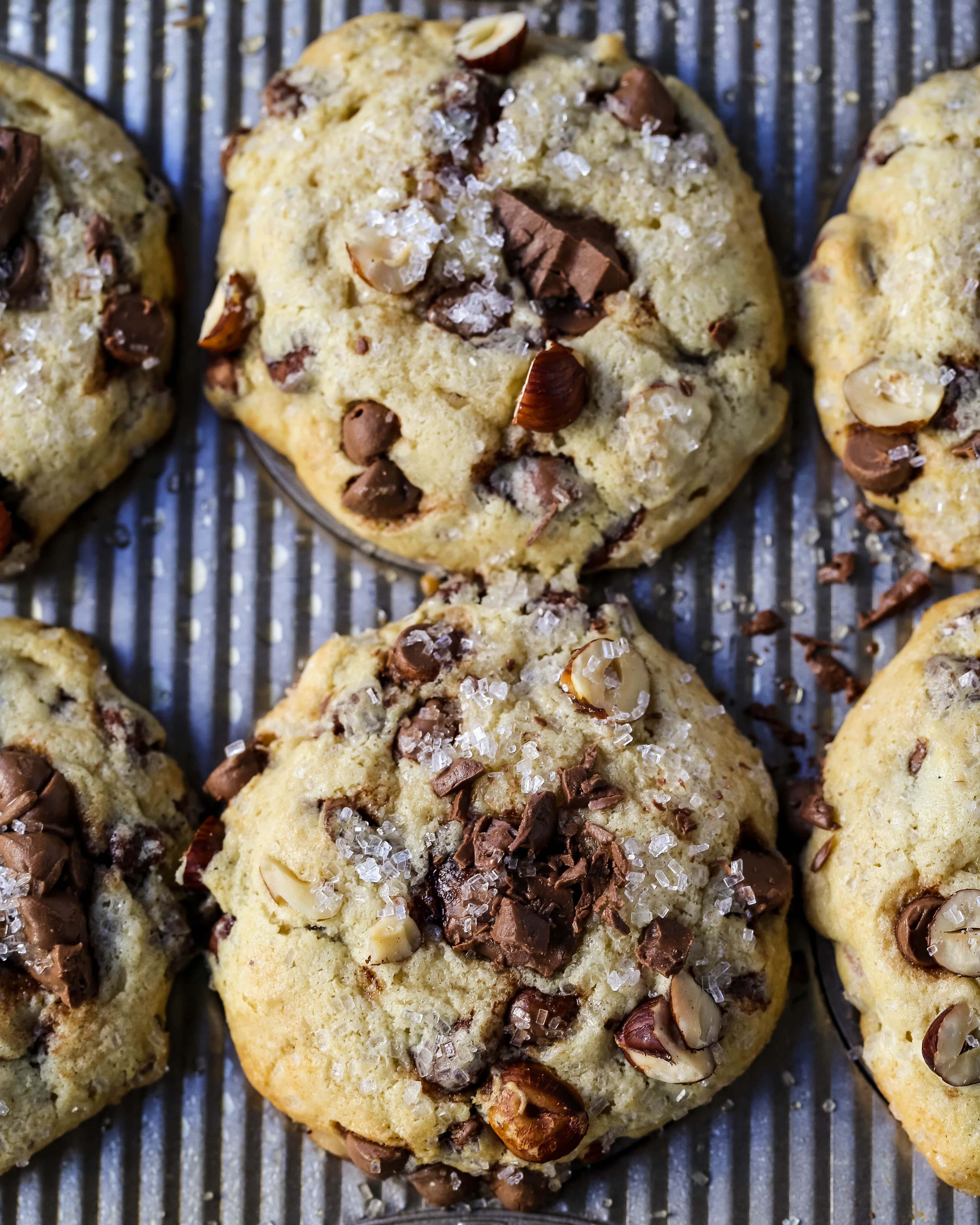 The Best Chocolate Chip Muffins. Chocolate Chunk Hazelnut Muffins with rich chocolate chips and crunchy hazelnuts. A gourmet bakery style muffin recipe. www.modernhoney.com #muffin #muffins #chocolatechipmmuffin #chocolatehazelnut