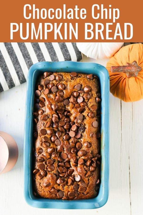 Chocolate Chip Pumpkin Bread Moist pumpkin spiced bread with rich chocolate chips. Tips and tricks for making the best pumpkin chocolate chip bread! www.modernhoney.com #pumpkinbread #pumpkin #pumpkinrecipes #chocolatechippumpkinbread 