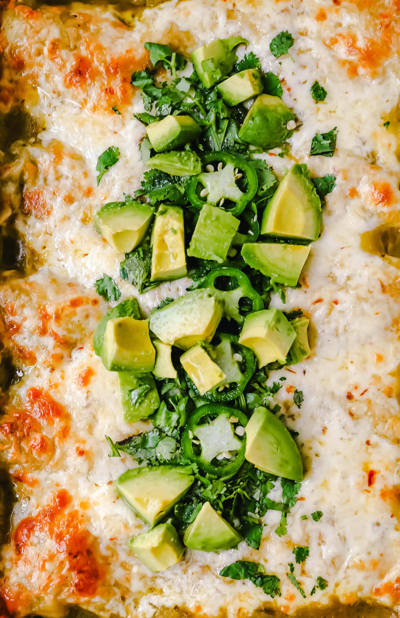 Creamy Green Chile Chicken Enchiladas Creamy chicken enchiladas stuffed with a cream cheese and sour cream green chile chicken rolled into corn tortillas and topped with green enchilada sauce and pepper jack cheese. The best creamy chicken enchiladas recipe! www.moderrnhoney.com #enchiladas #mexicanfood