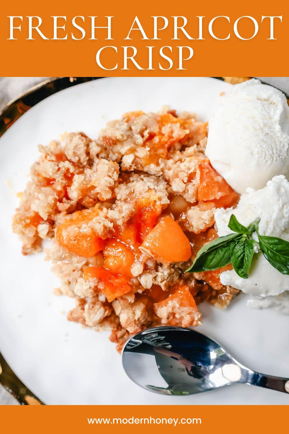 This Apricot Crisp is made with fresh apricots tossed in sugar and almond extract and topped with a homemade brown sugar oat crumble. This rustic summer dessert is served with a big scoop of vanilla bean ice cream. 