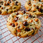 The popular 7-layer bar made into a cookie! A chewy cookie with crisp edges with butterscotch chips, semi-sweet chocolate chips, shredded coconut, and pecans. A salty and sweet cookie.