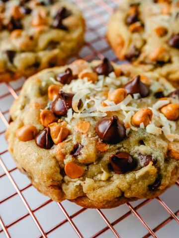 The popular 7-layer bar made into a cookie! A chewy cookie with crisp edges with butterscotch chips, semi-sweet chocolate chips, shredded coconut, and pecans. A salty and sweet cookie.