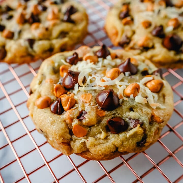 The popular 7-layer bar made into a cookie! A chewy cookie with crisp edges with butterscotch chips, semi-sweet chocolate chips, shredded coconut, and pecans. A salty and sweet cookie.