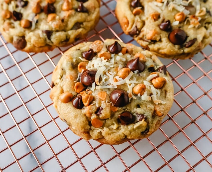 The popular 7-layer bar made into a cookie! A chewy cookie with crisp edges with butterscotch chips, semi-sweet chocolate chips, shredded coconut, and pecans. A salty and sweet cookie.