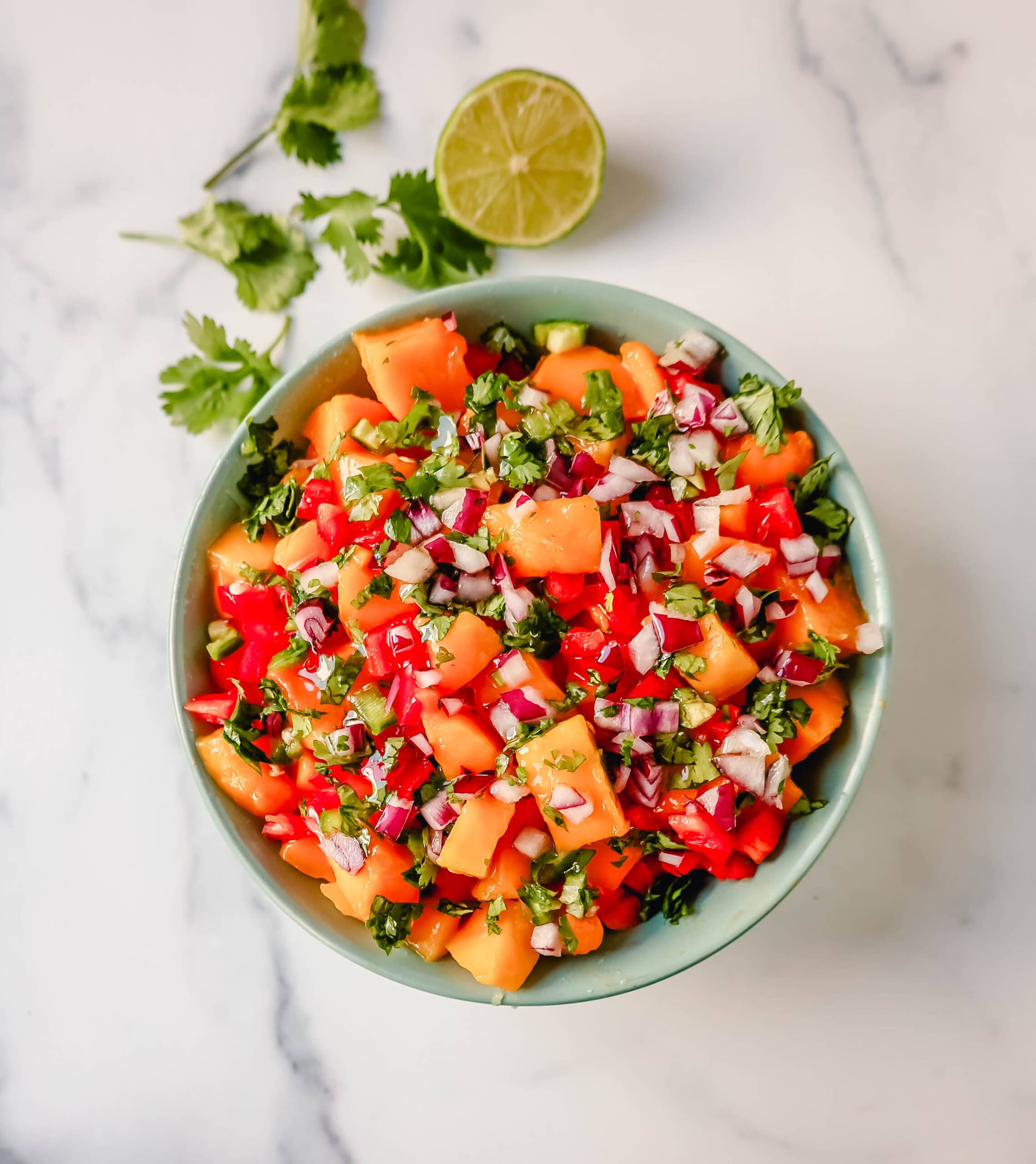 Homemade Fresh Mango Salsa with ripe mango, red peppers, cilantro, red onion, jalapeno, lime juice, salt, and a touch of honey. The freshest and best mango salsa recipe!