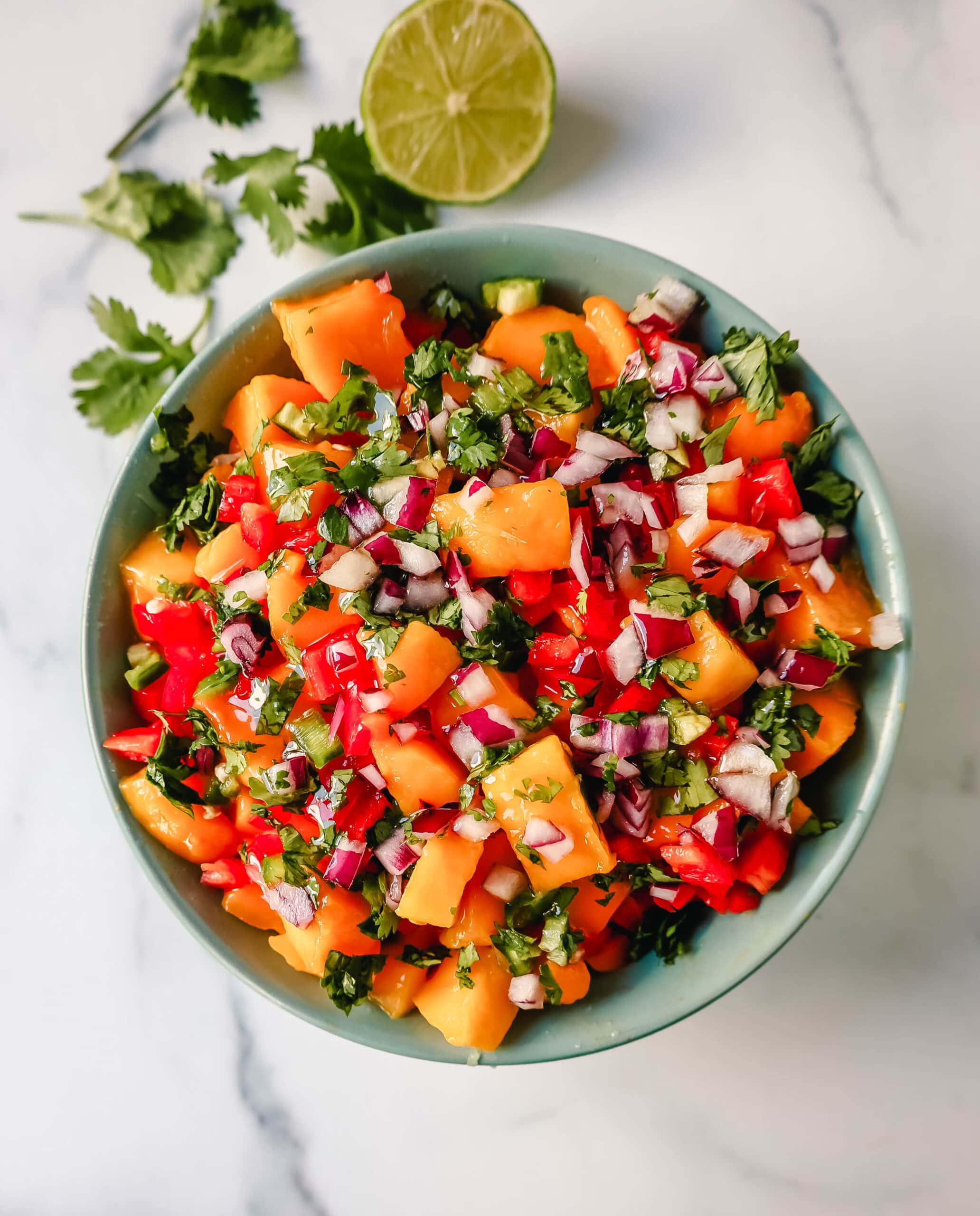 Homemade Fresh Mango Salsa with ripe mango, red peppers, cilantro, red onion, jalapeno, lime juice, salt, and a touch of honey. The freshest and best mango salsa recipe!