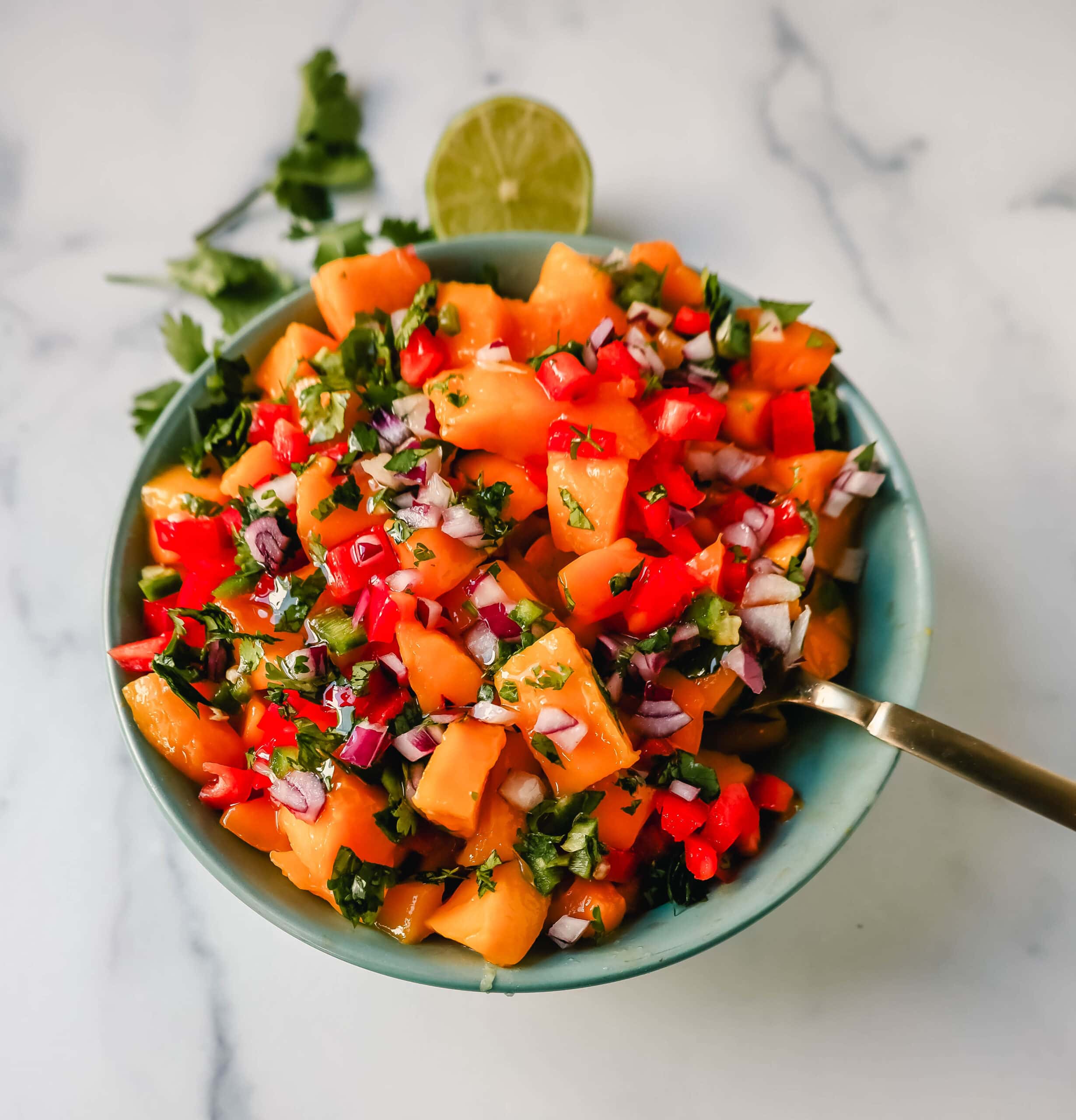 Homemade Fresh Mango Salsa with ripe mango, red peppers, cilantro, red onion, jalapeno, lime juice, salt, and a touch of honey. The freshest and best mango salsa recipe!