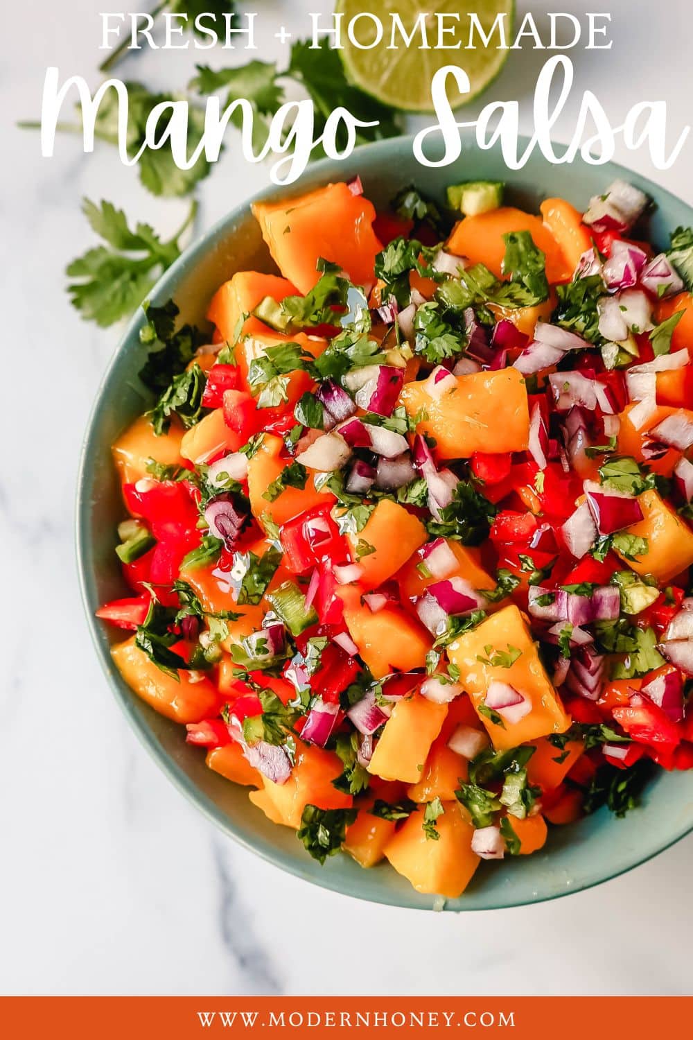 Homemade Fresh Mango Salsa with ripe mango, red peppers, cilantro, red onion, jalapeno, lime juice, salt, and a touch of honey. The freshest and best mango salsa recipe!