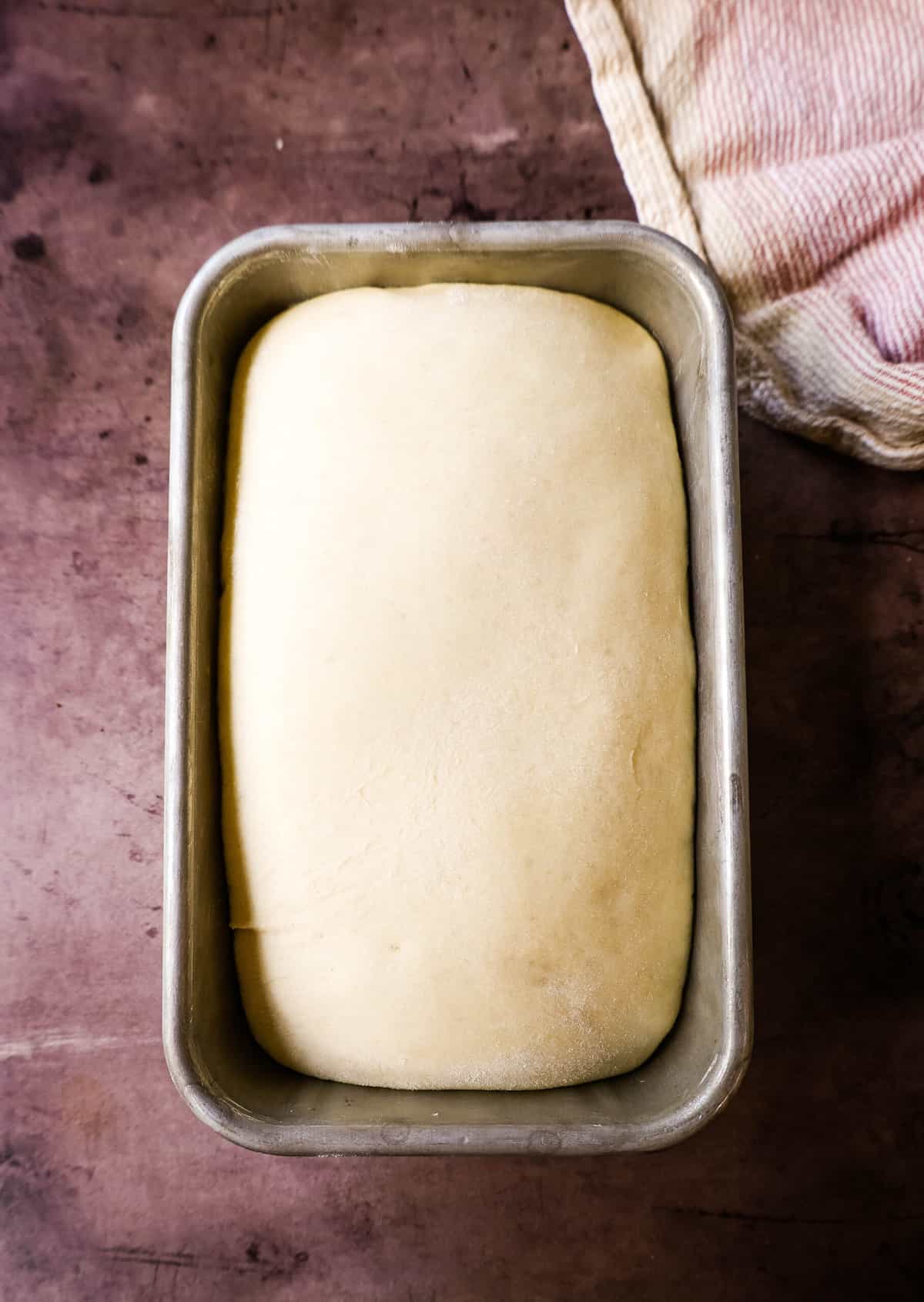 White Sandwich Bread Dough before Baking
