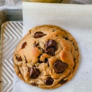 Soft, chewy Fall cookie with dark brown sugar, molasses, cinnamon, ginger, cloves, nutmeg, and chocolate chips for the perfect Autumn cookie. This is the perfect Fall spiced chocolate chip cookie recipe!