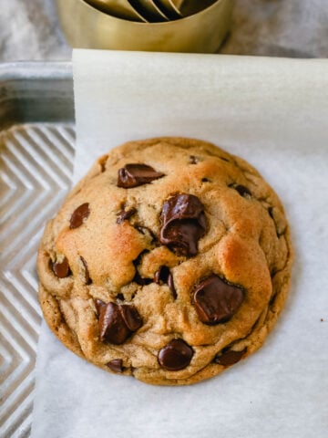 Soft, chewy Fall cookie with dark brown sugar, molasses, cinnamon, ginger, cloves, nutmeg, and chocolate chips for the perfect Autumn cookie. This is the perfect Fall spiced chocolate chip cookie recipe!