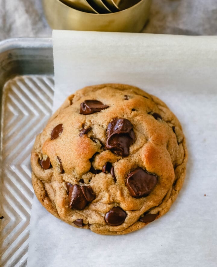 Soft, chewy Fall cookie with dark brown sugar, molasses, cinnamon, ginger, cloves, nutmeg, and chocolate chips for the perfect Autumn cookie. This is the perfect Fall spiced chocolate chip cookie recipe!