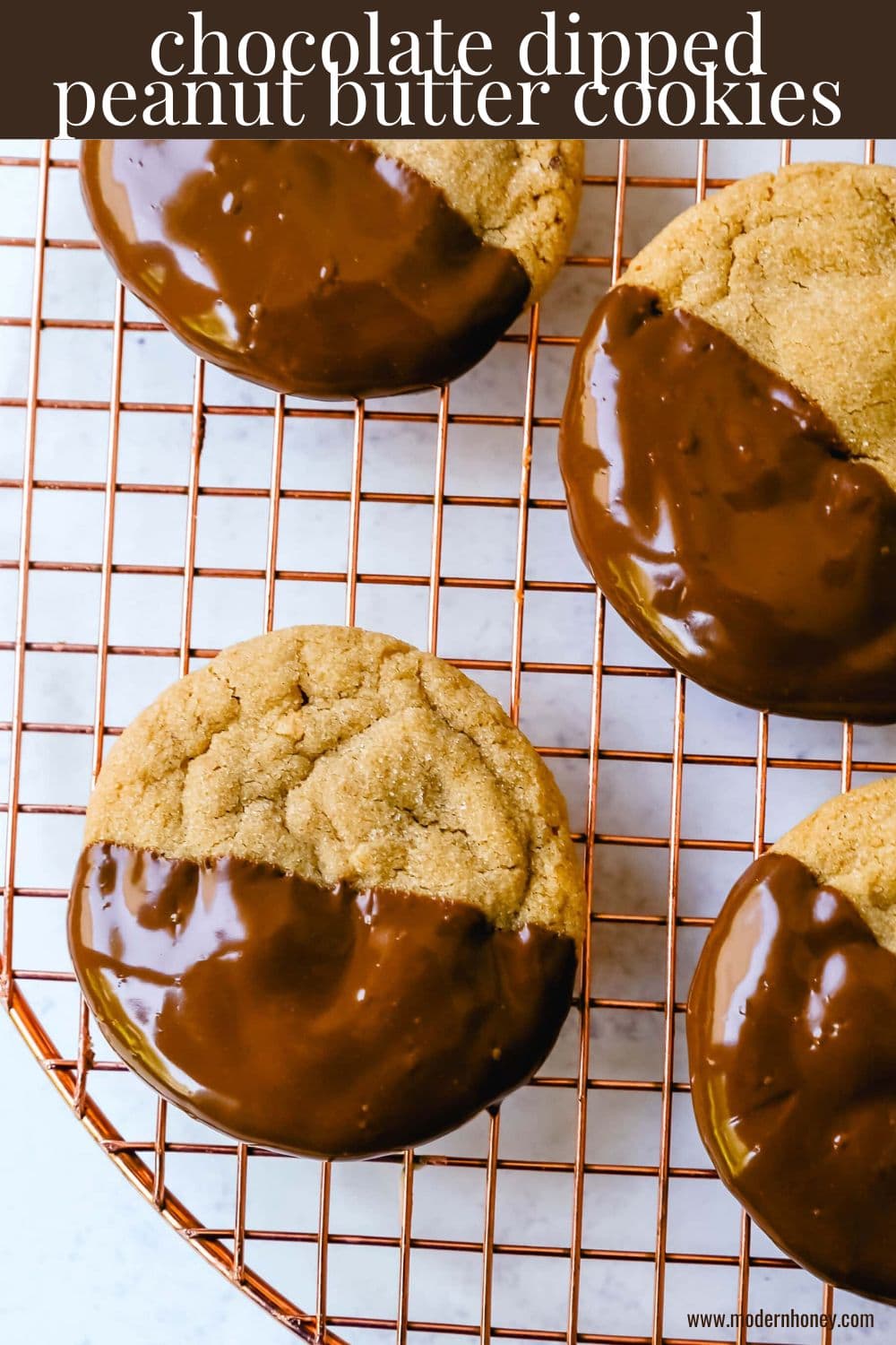 Soft, chewy homemade peanut butter cookies dipped in melted chocolate. This peanut butter and chocolate cookie is rich and decadent and perfect for chocolate peanut butter lovers!
