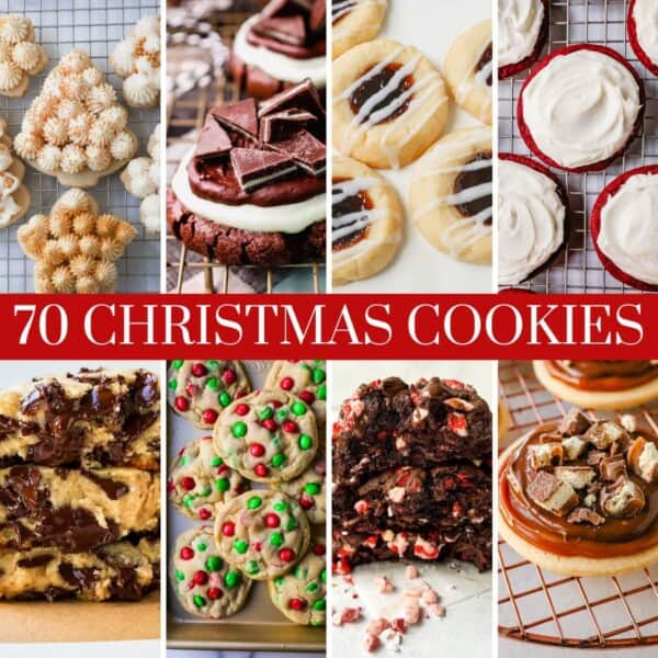 The Best Christmas Cookie Recipes all in one place. A list of all of the best and most popular Christmas cookie recipes.