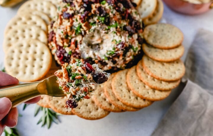 Cranberry Pecan Cheese Ball. 