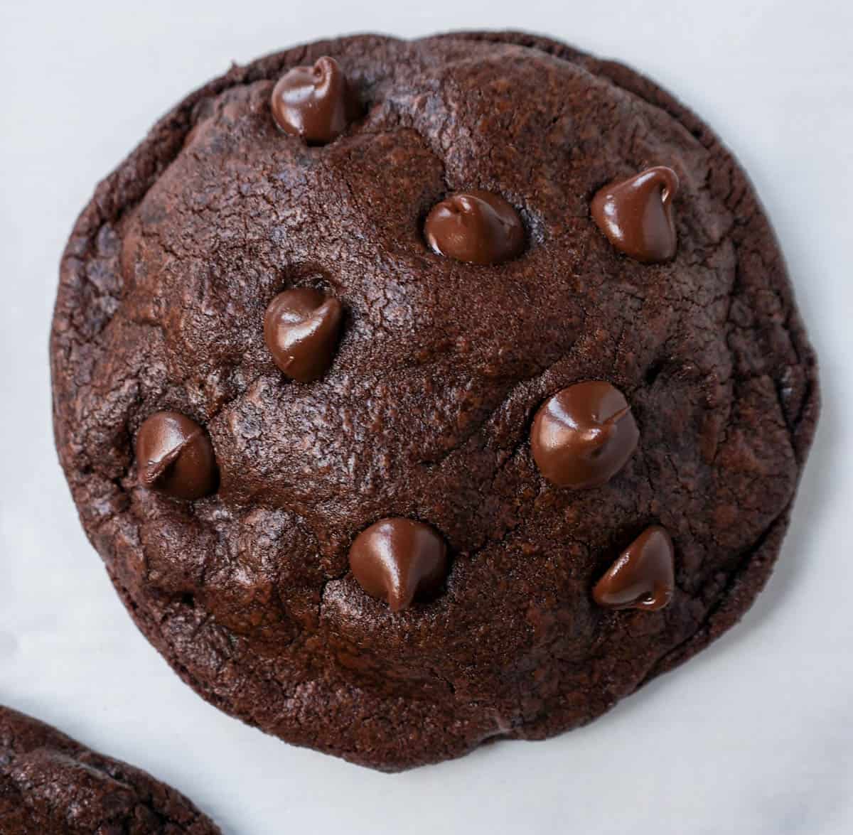 Soft, chewy, fudge-like Chocolate Chocolate Chip Cookies are made with two types of chocolate -- dutch cocoa and semi-sweet chocolate. This is the best double chocolate chip cookie recipe! These rich, decadent double chocolate cookies are for all of my chocolate lovers!