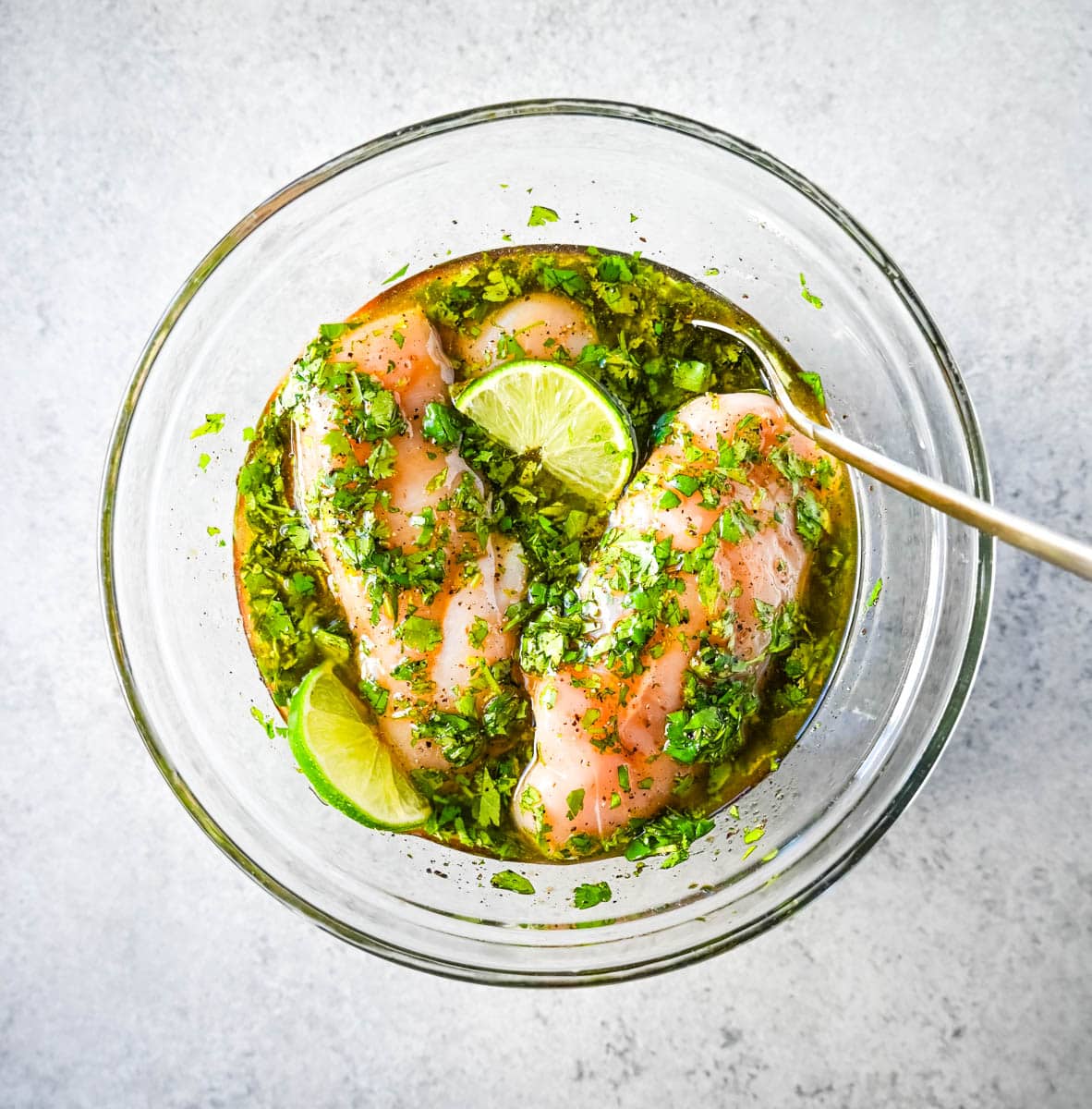 Cilantro Lime Chicken Marinade Ingredients