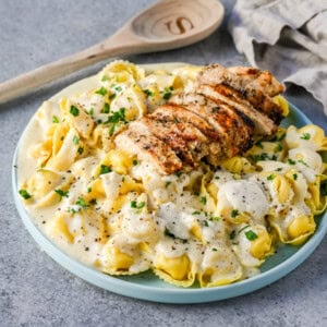 Tortellini Alfredo with Grilled Chicken is made with cheese tortellini tossed with parmesan cheese alfredo sauce and served with Italian grilled chicken. This Chicken Tortellini Alfredo Recipe is the ultimate comfort food.