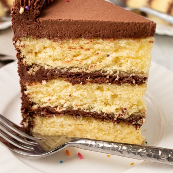 The BEST Yellow Cake Recipe with Milk Chocolate Frosting. 5-Star Rated Recipe! This golden, tender yellow cake is topped with a thick layer of creamy chocolate frosting. Thanks to a secret ingredient -- this homemade yellow cake bakes up moist, fluffy, and full of flavor every time. If you are celebrating a birthday, make sure to request this Yellow Birthday Cake with Chocolate Frosting!