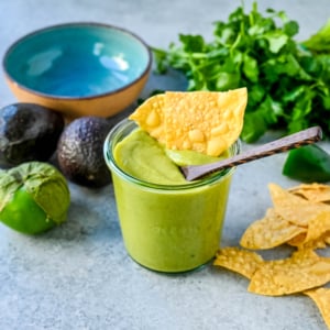 This creamy avocado salsa is the perfect love child of tangy salsa verde and smooth guacamole. It’s bright, fresh, a little spicy, and so good you’ll want to put it on everything! This Guacamole Salsa is perfect to drizzle on tacos or to use as a dip.