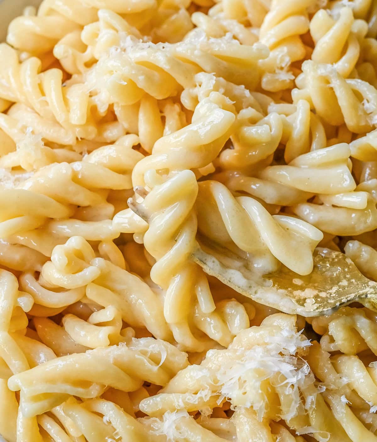 World's Best Buttered Noodles Ingredients. These buttered noodles are the easiest comfort food ever made with tender pasta, butter, and parmesan cheese. You only need 3 ingredients to make this butter parmesan pasta (also known as Burro e Parmigiano).