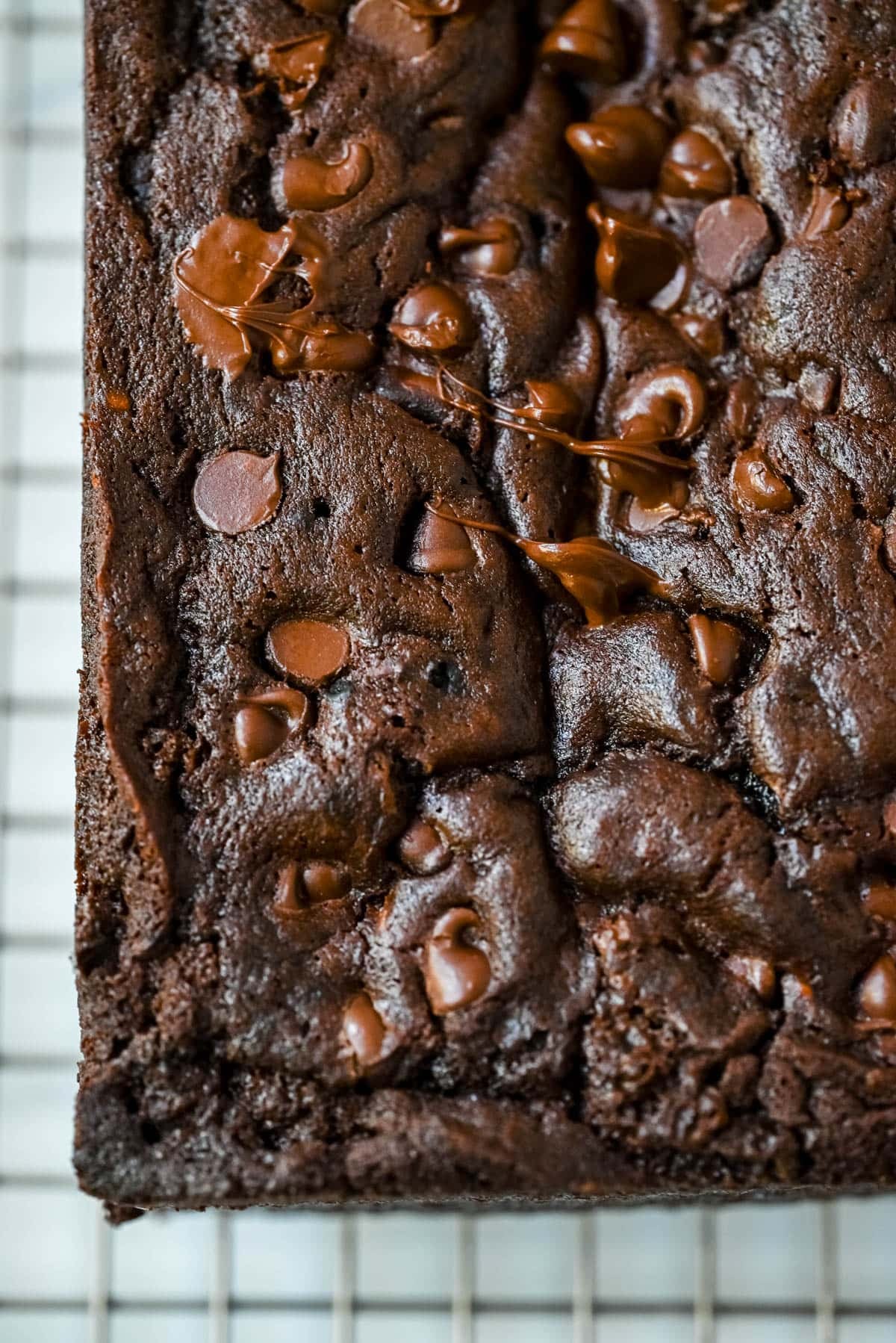 This easy double chocolate banana bread is rich, moist, and full of chocolate chips—the perfect chocolate banana bread recipe for using overripe bananas.