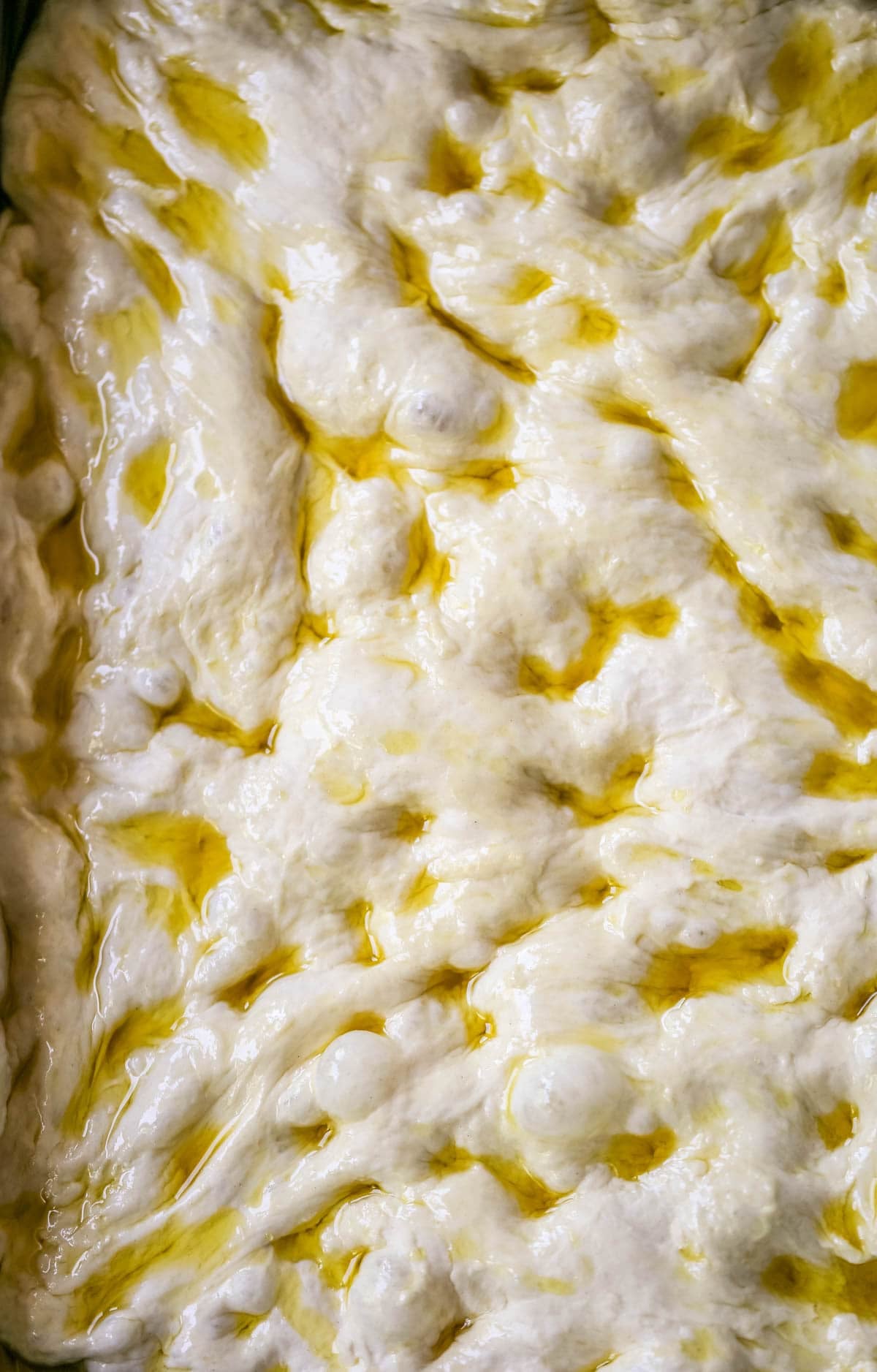 Focaccia dough dimpled in pan with extra virgin olive oil